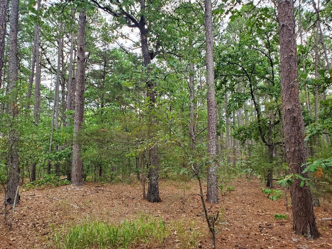 Daisy, Pushmataha County, OK Recreational Property, Hunting Property