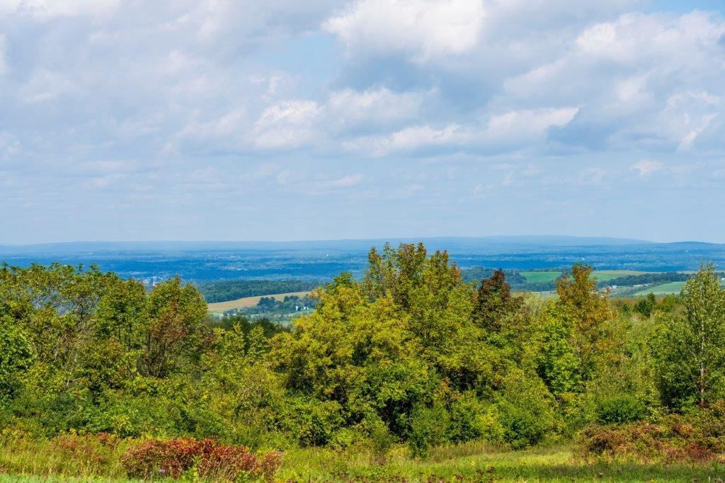 5 acres in Florida, NY, 12010 LandWatch