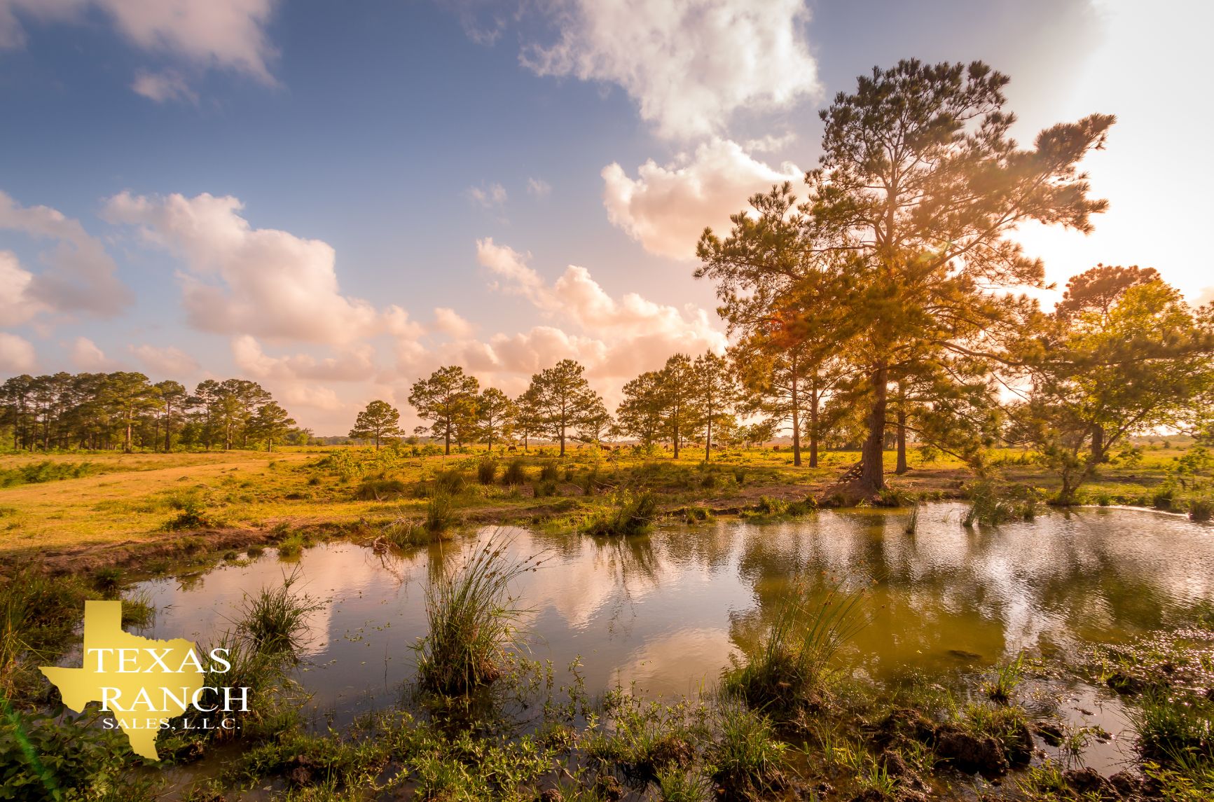 224 acres in Anahuac, TX, 77514 LandWatch