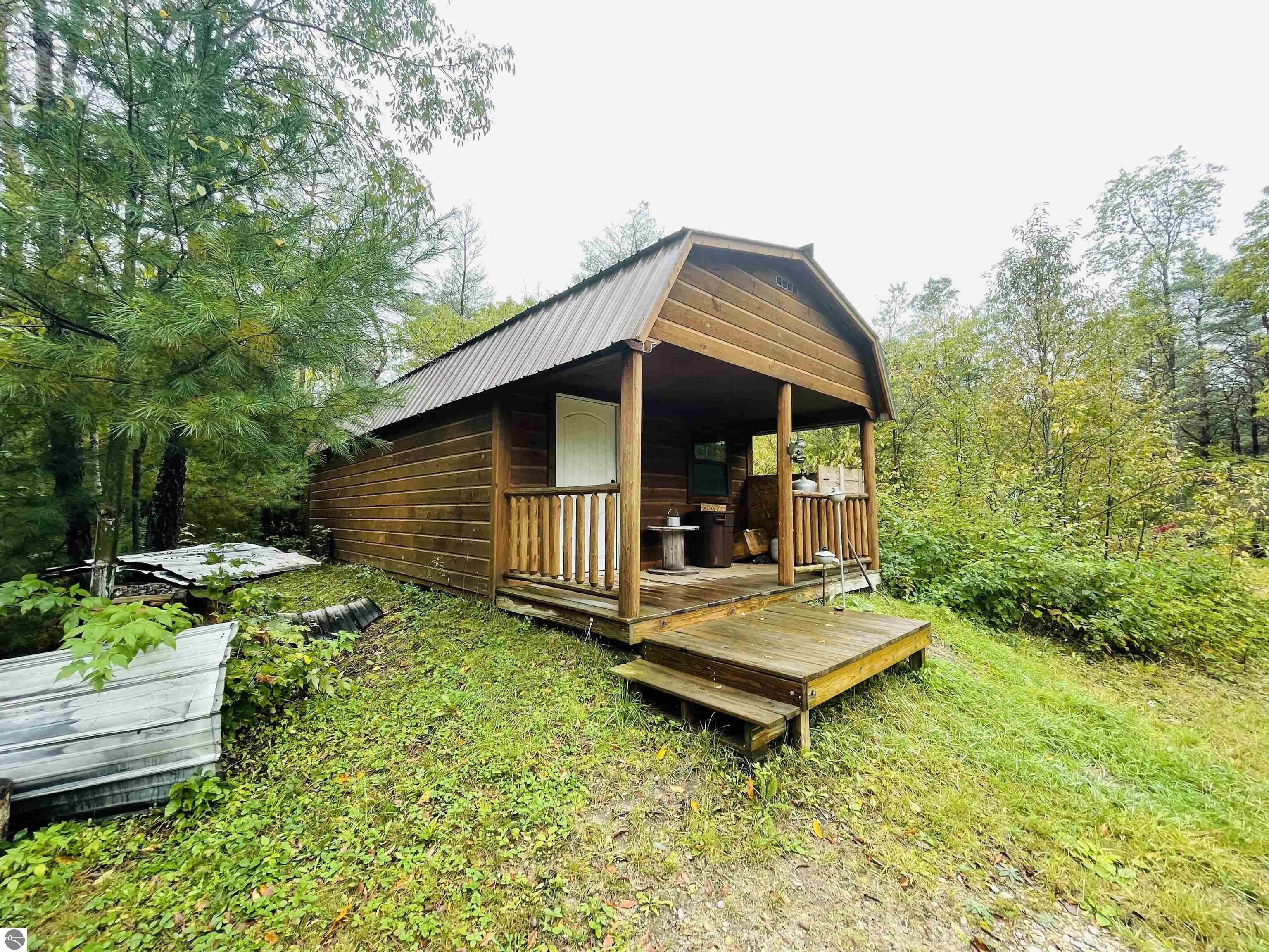 Manton, Wexford County, MI Undeveloped Land, Lakefront Property