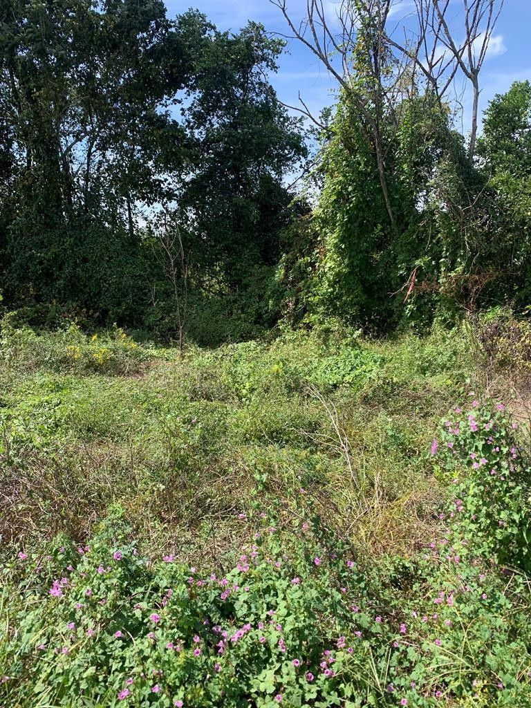 Orangeburg, Orangeburg County, SC Commercial Property, Homesites for