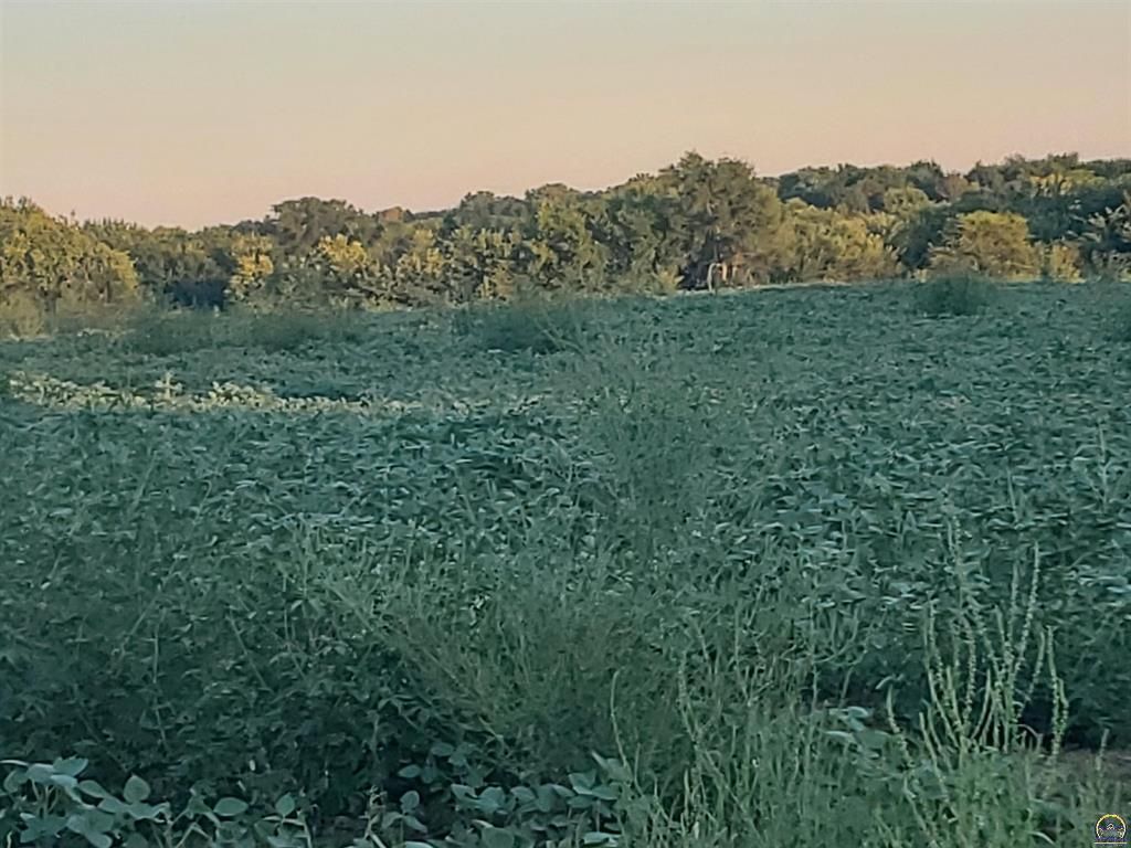 1647 W 269th St, Lyndon, KS 66451 MLS 225661 LandWatch