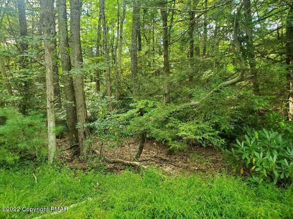 Kunkletown, Monroe County, PA Undeveloped Land, Homesites for sale