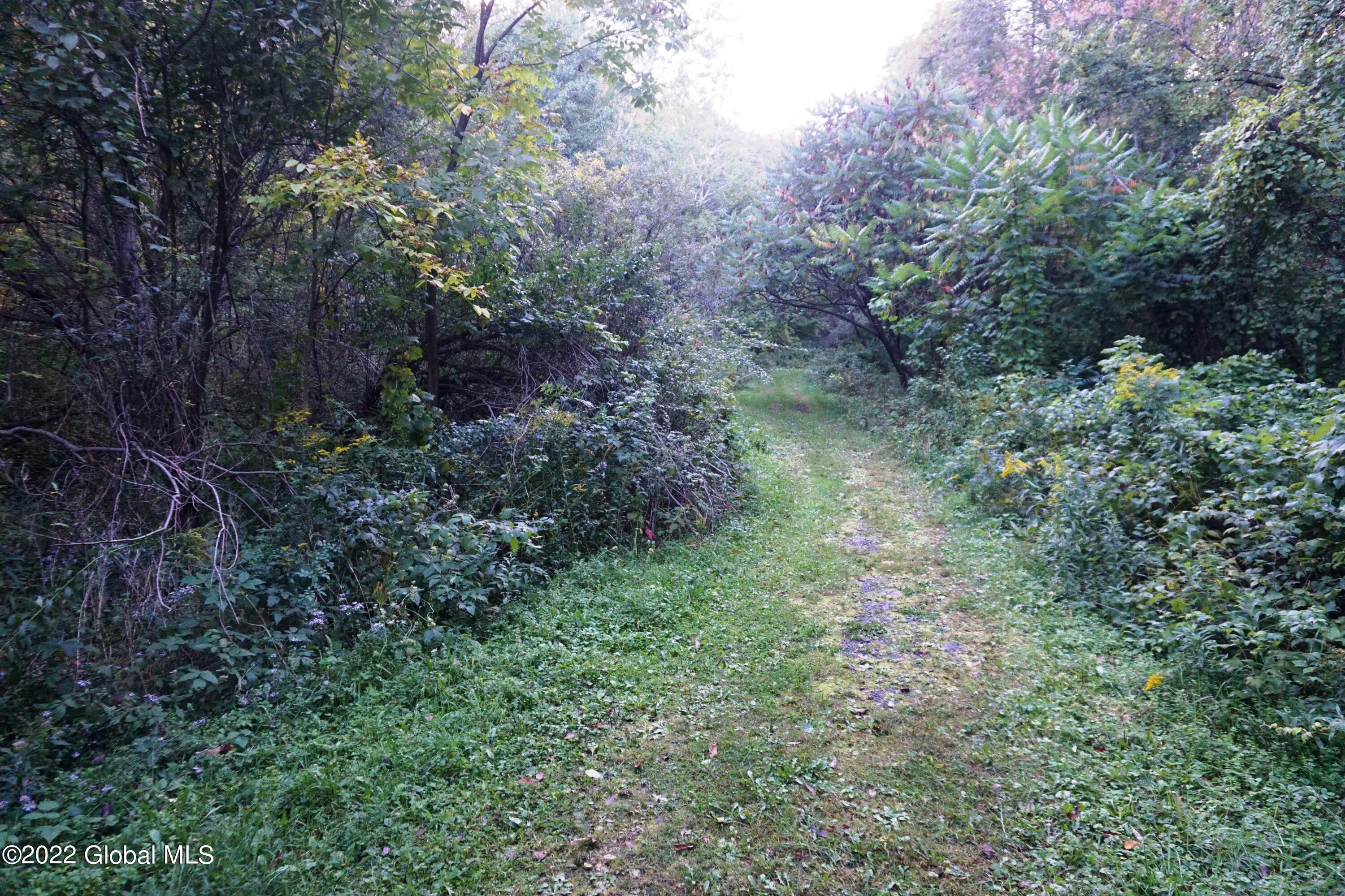 Richmondville, Schoharie County, NY Undeveloped Land for sale Property