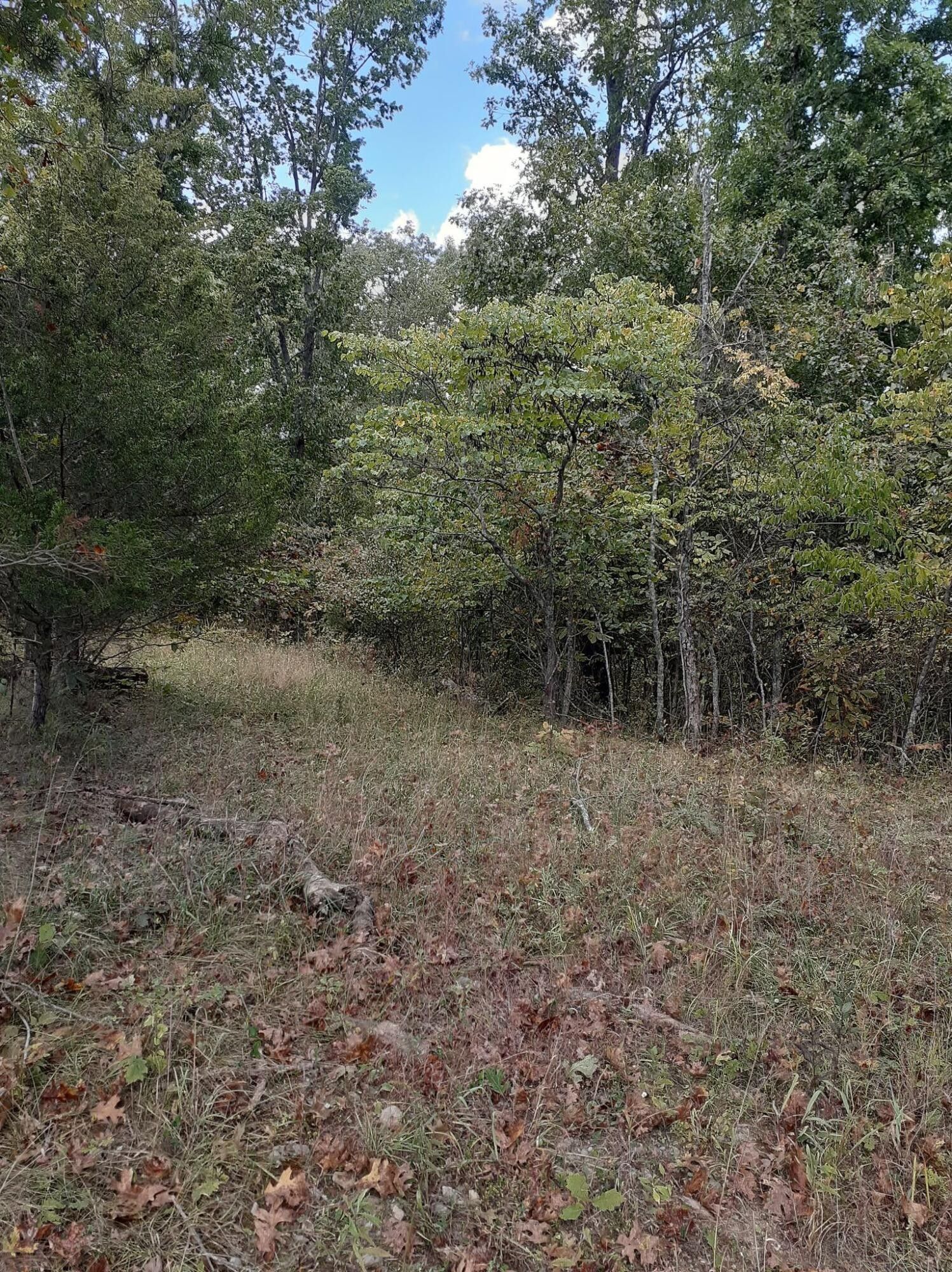 Lot 15 Apple Lane, Cynthiana, KY 41031 MLS 22021586 LandWatch