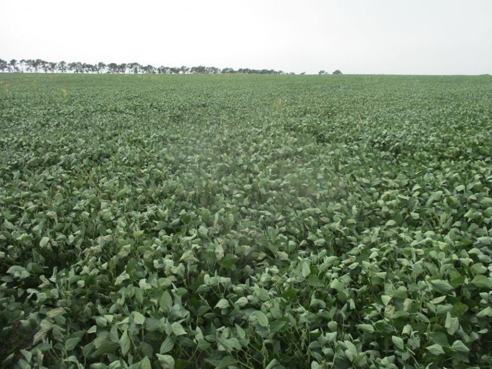 Miller, Hand County, SD Farms and Ranches, Undeveloped Land for sale