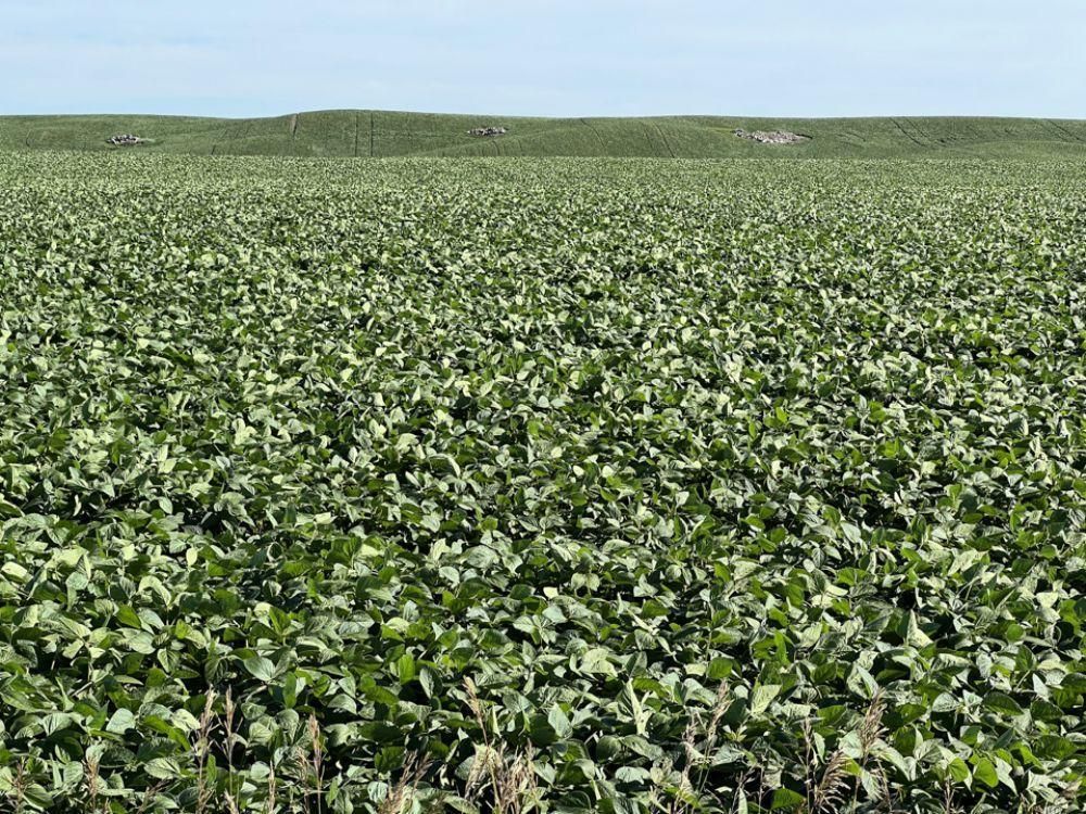 Harvey, Pierce County, ND Farms and Ranches, Undeveloped Land for sale