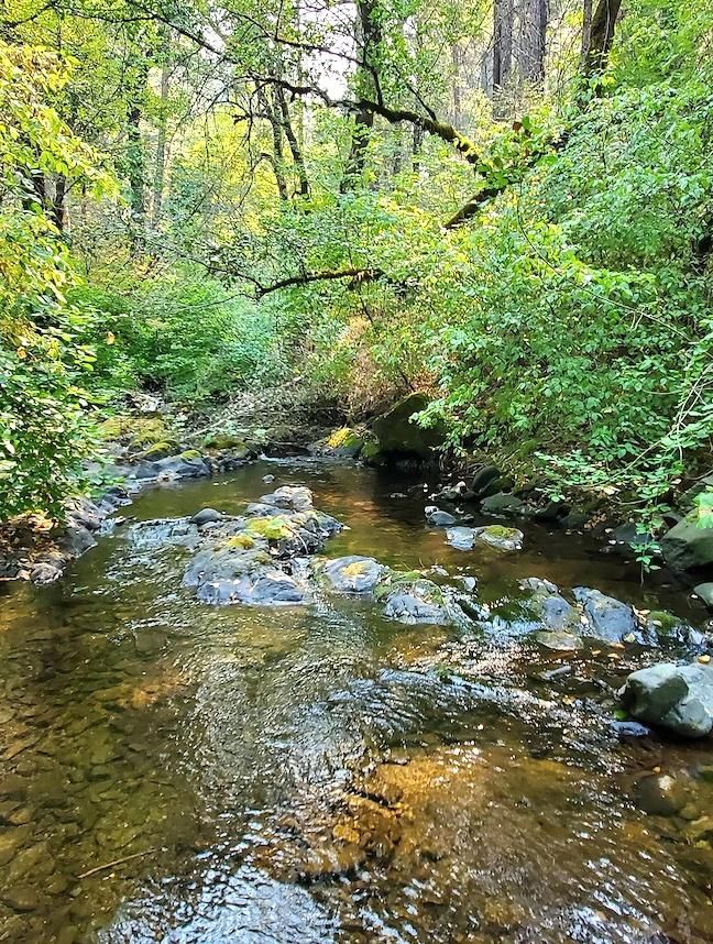 Montgomery Creek, Shasta County, CA Recreational Property, Riverfront