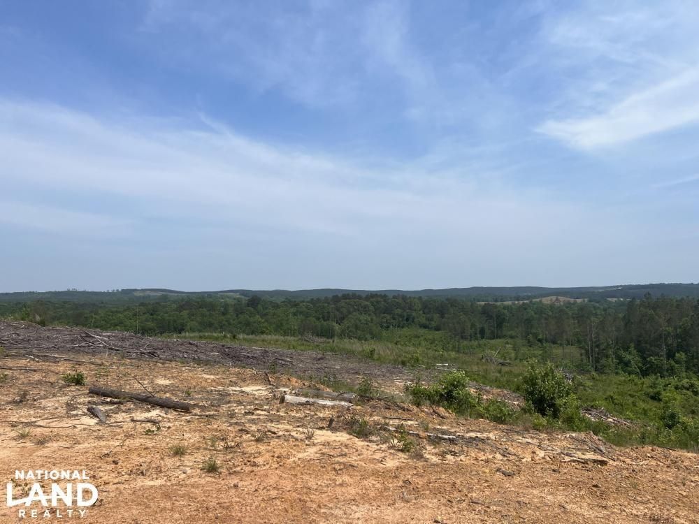 Brilliant, Marion County, AL Recreational Property for sale Property ID