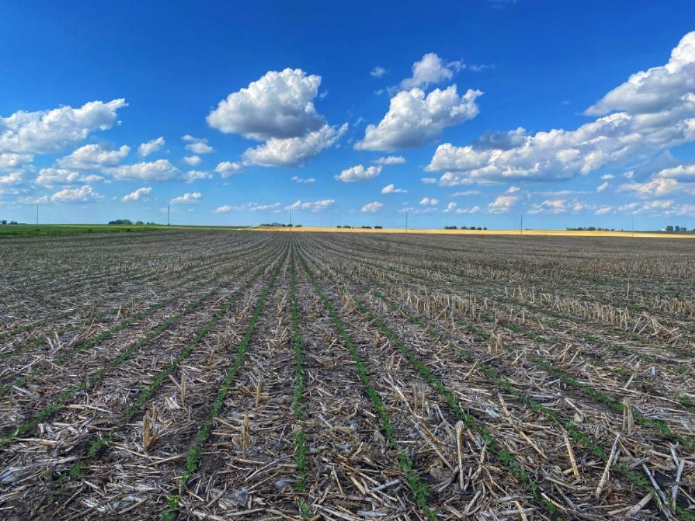 Jesup, Black Hawk County, IA Farms and Ranches for sale Property ID 414132417 LandWatch