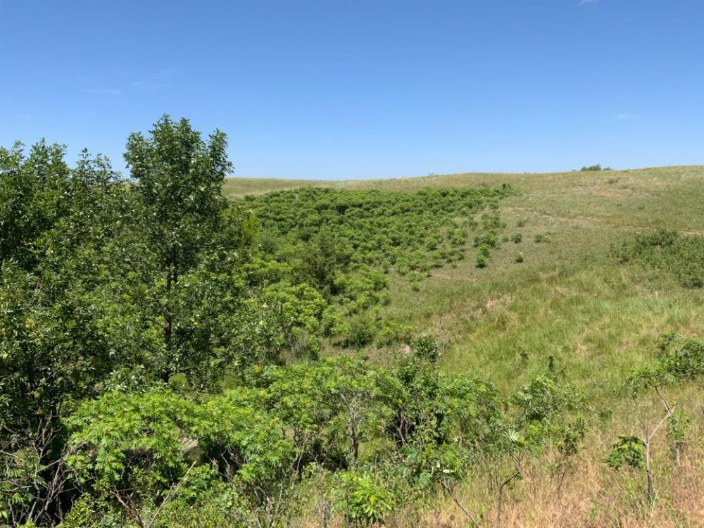 O'Neill, Holt County, NE Farms and Ranches, Hunting Property for sale