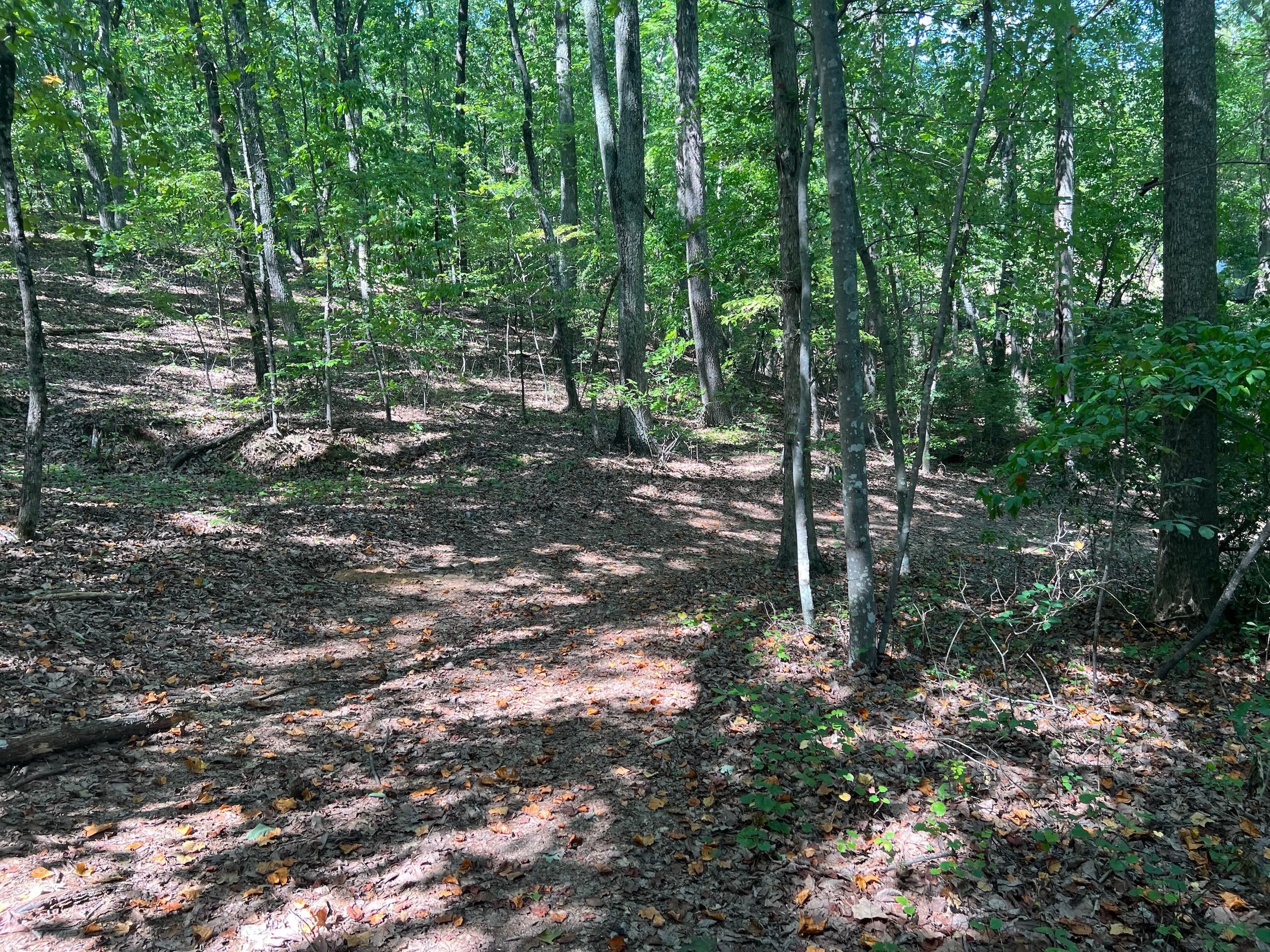 Ellenboro, Rutherford County, NC Recreational Property, Timberland