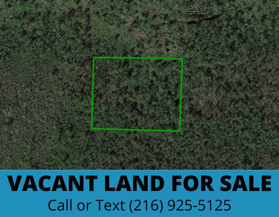 Fountain, Bay County, FL Farms and Ranches, Undeveloped Land, Homesites
