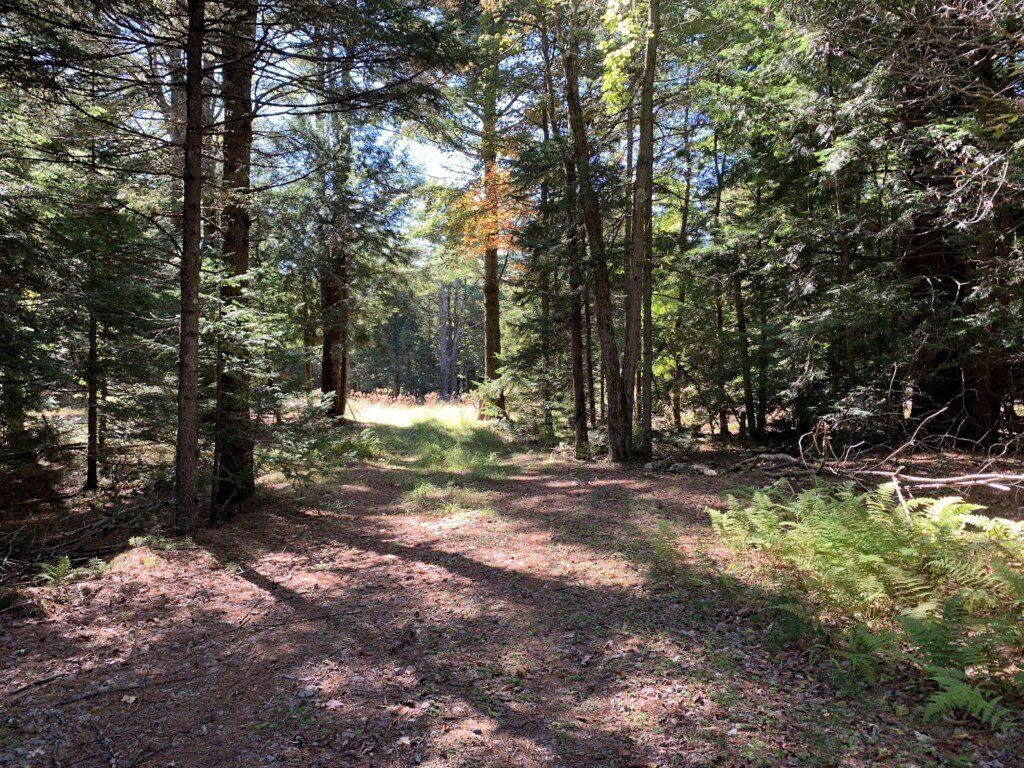 Middle Grove, Saratoga County, NY Recreational Property, Hunting