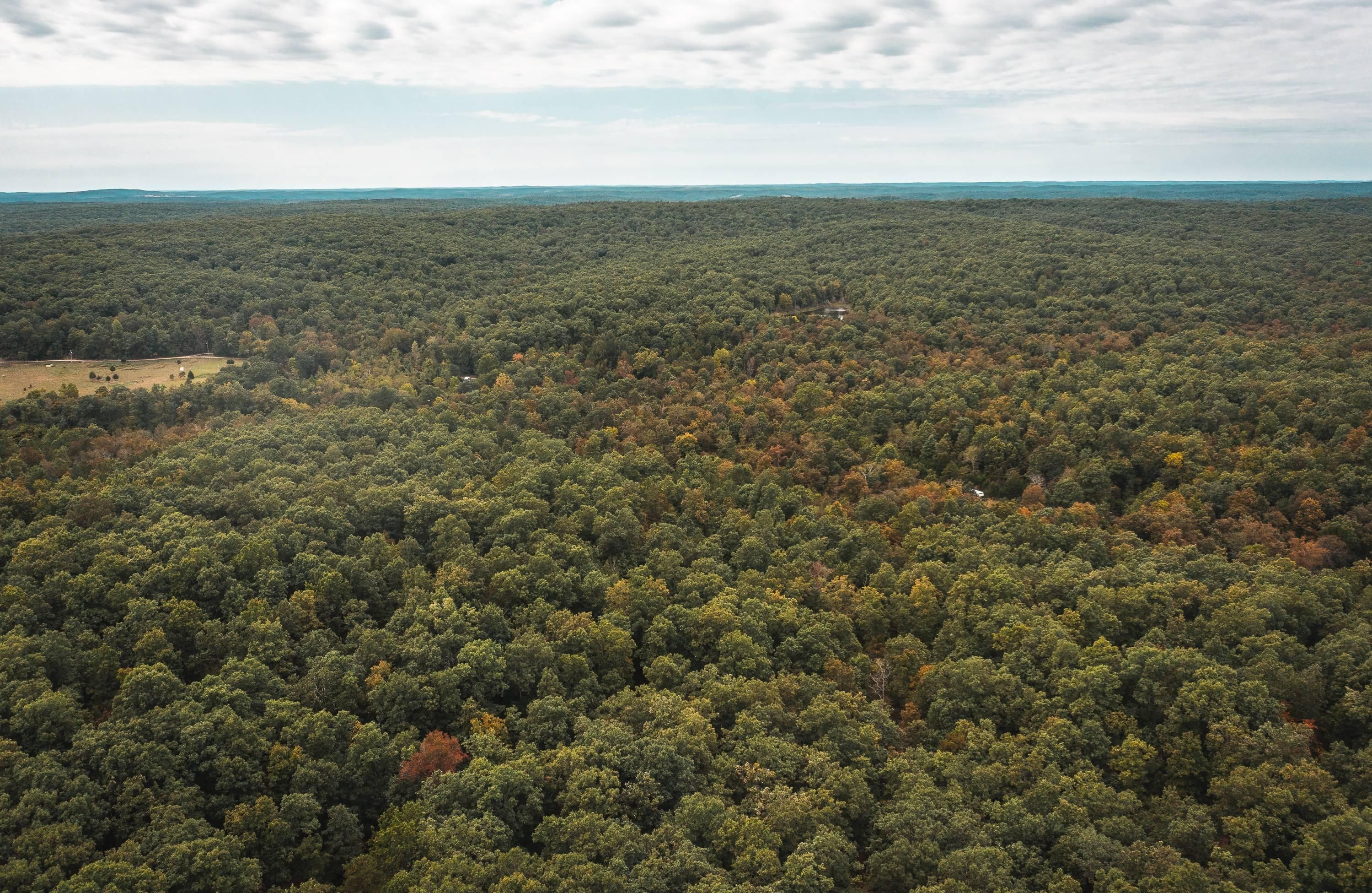 Annapolis, Iron County, MO Recreational Property, Undeveloped Land