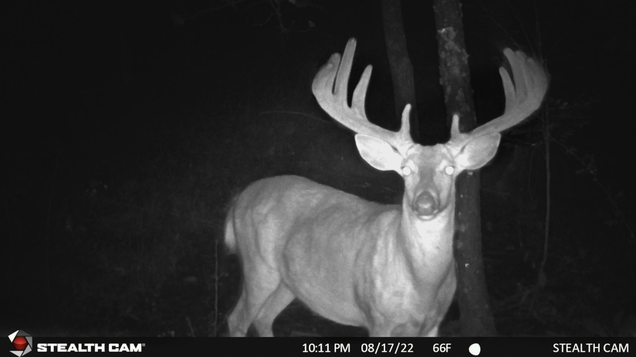 Hancock, Adams County, WI Recreational Property, Hunting Property for