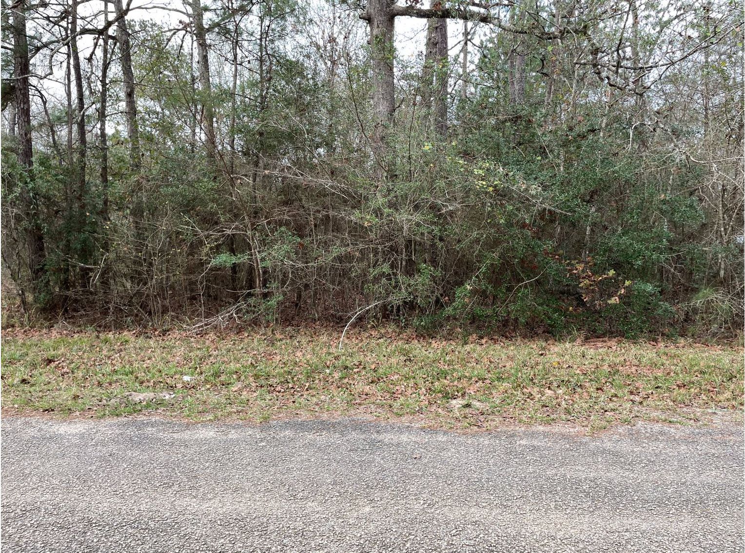 Cleveland, Liberty County, TX Recreational Property, Undeveloped Land, Homesites for sale
