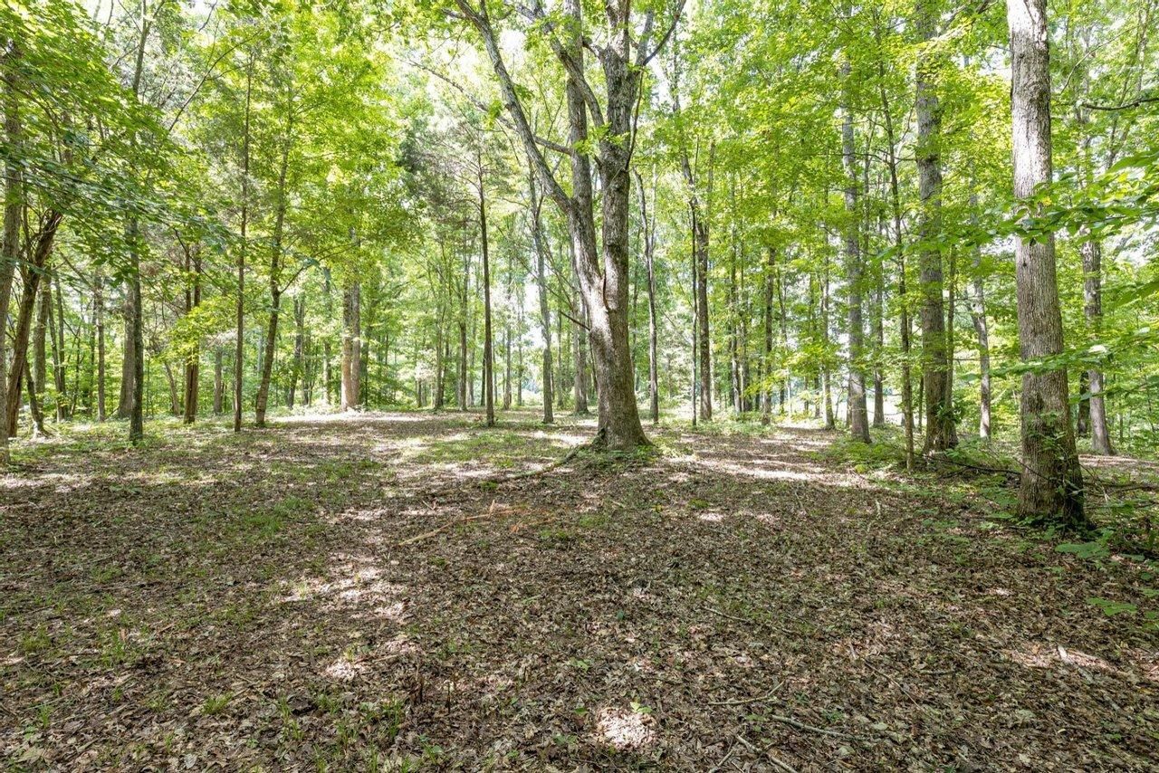 Franklin, Williamson County, TN Recreational Property, Undeveloped Land