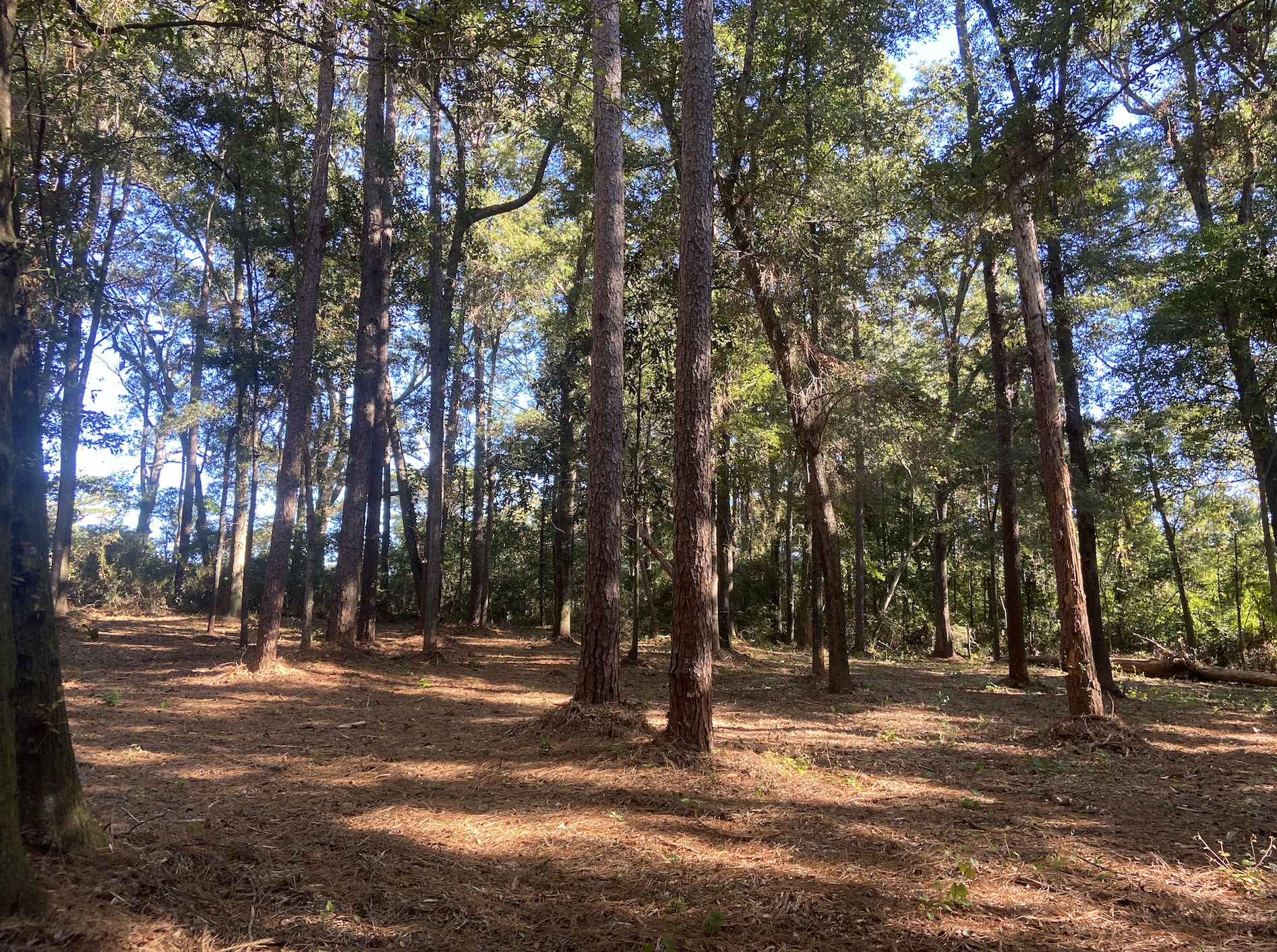 Mobile, Mobile County, AL Recreational Property, Undeveloped Land