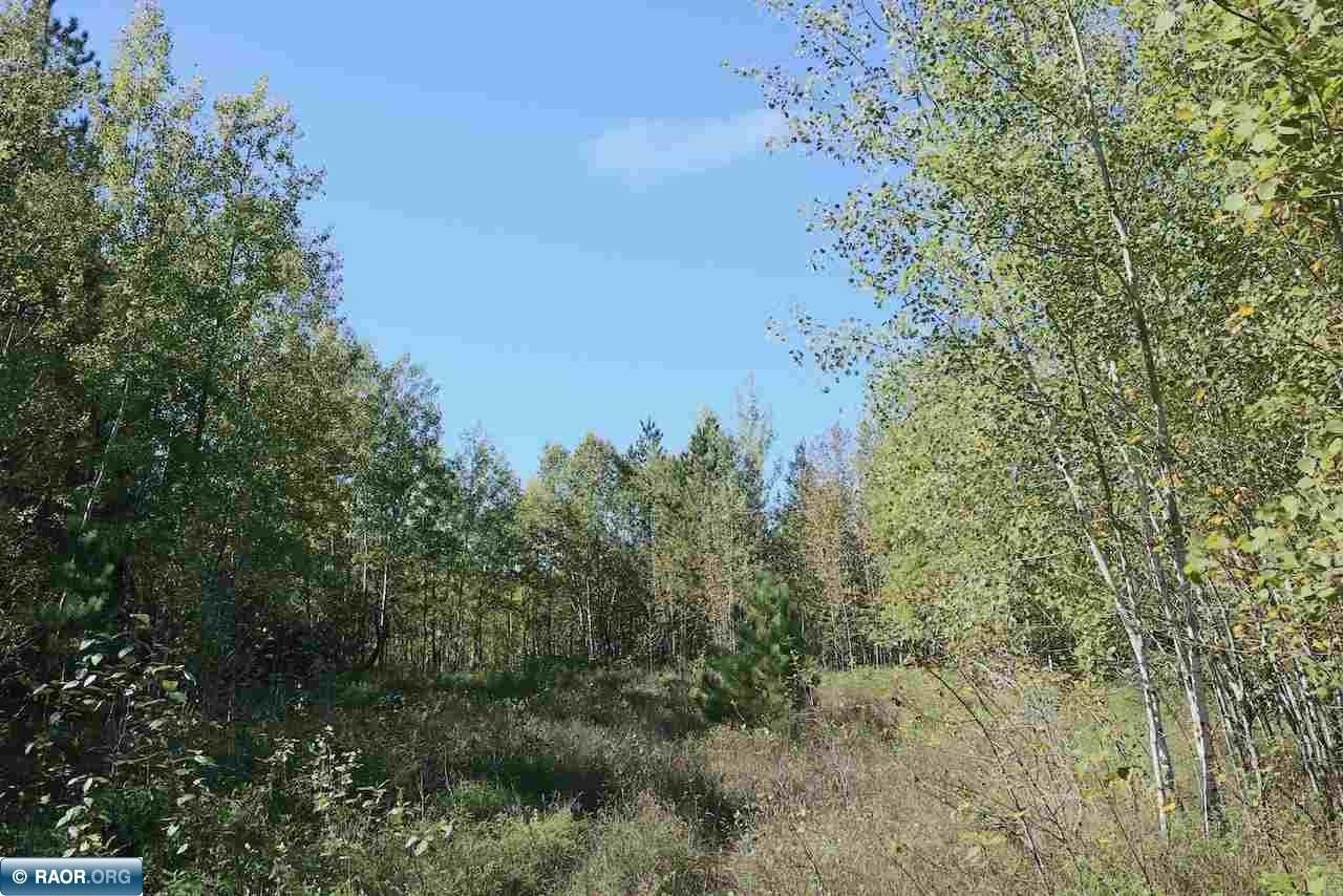 Biwabik, Saint Louis County, MN Undeveloped Land, Lakefront Property