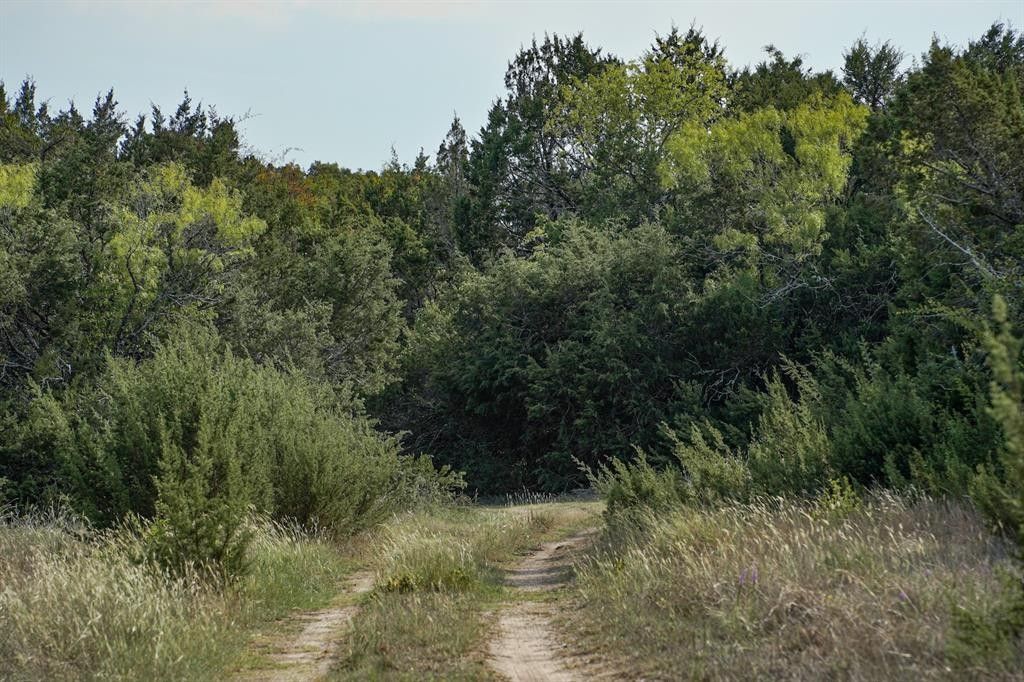 Stephenville, Erath County, TX Undeveloped Land for sale Property ID