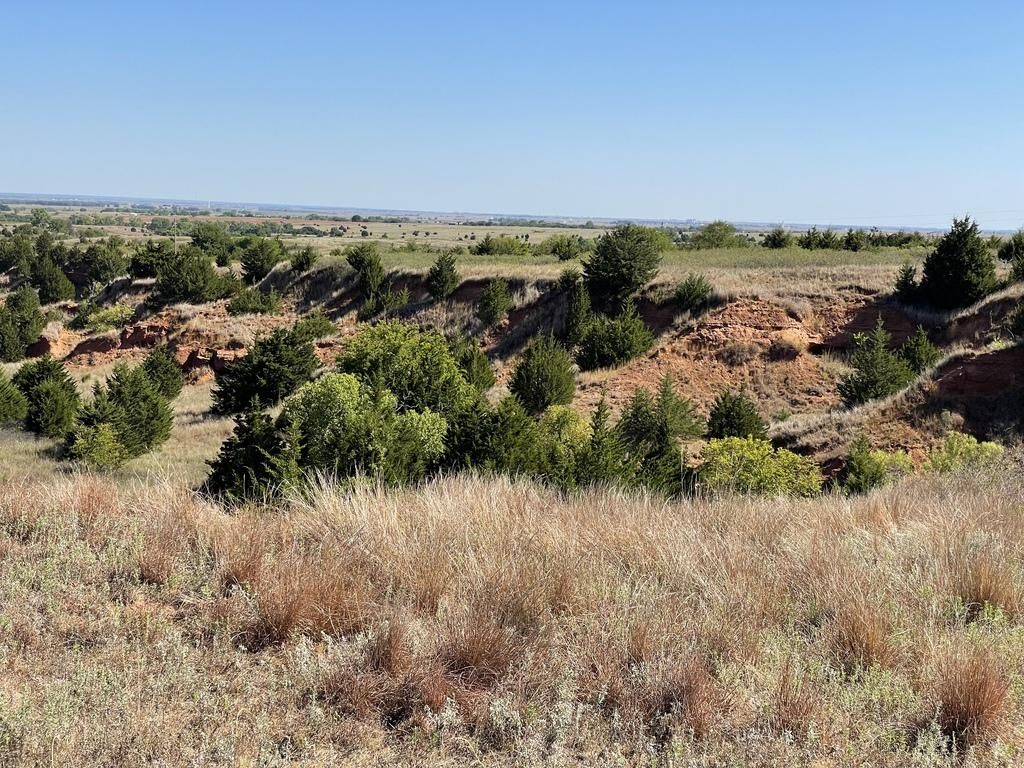 Hazelton, Barber County, KS Farms and Ranches, Hunting Property for