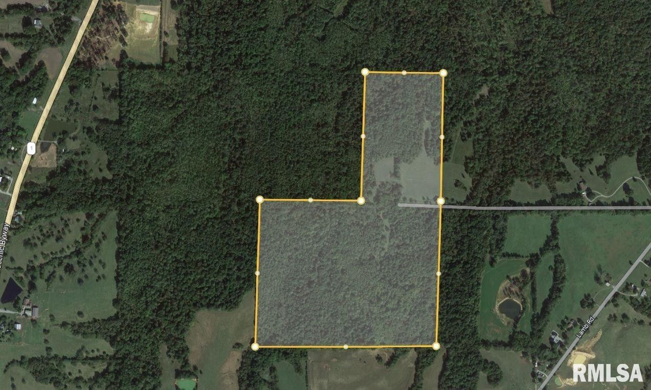 Cave In Rock, Hardin County, IL Undeveloped Land for sale Property ID