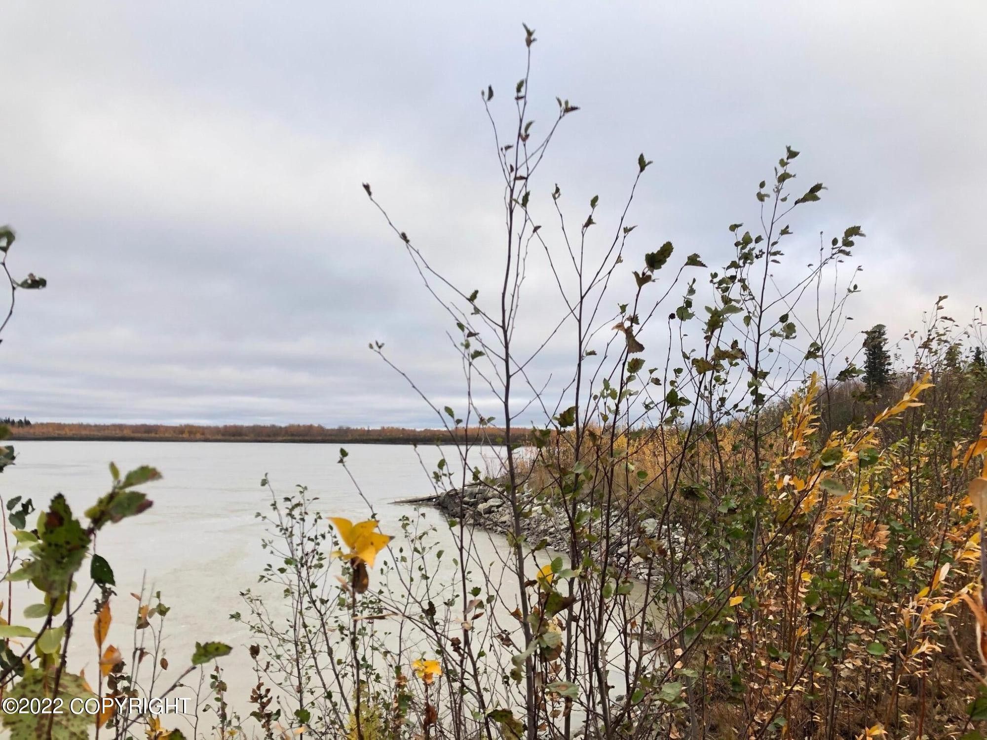 Nenana, Yukon Koyukuk Borough, AK Undeveloped Land, Lakefront Property