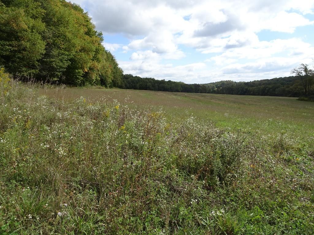 Galeton, Potter County, PA Undeveloped Land for sale Property ID