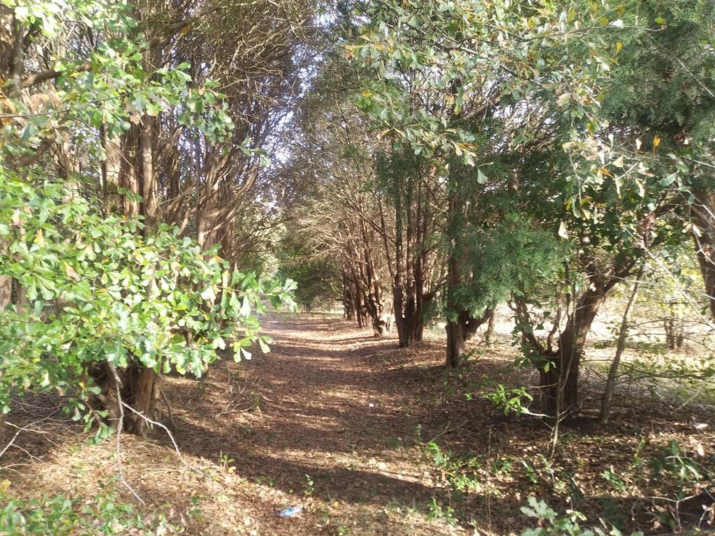 Rembert, Sumter County, SC Undeveloped Land, Homesites for sale