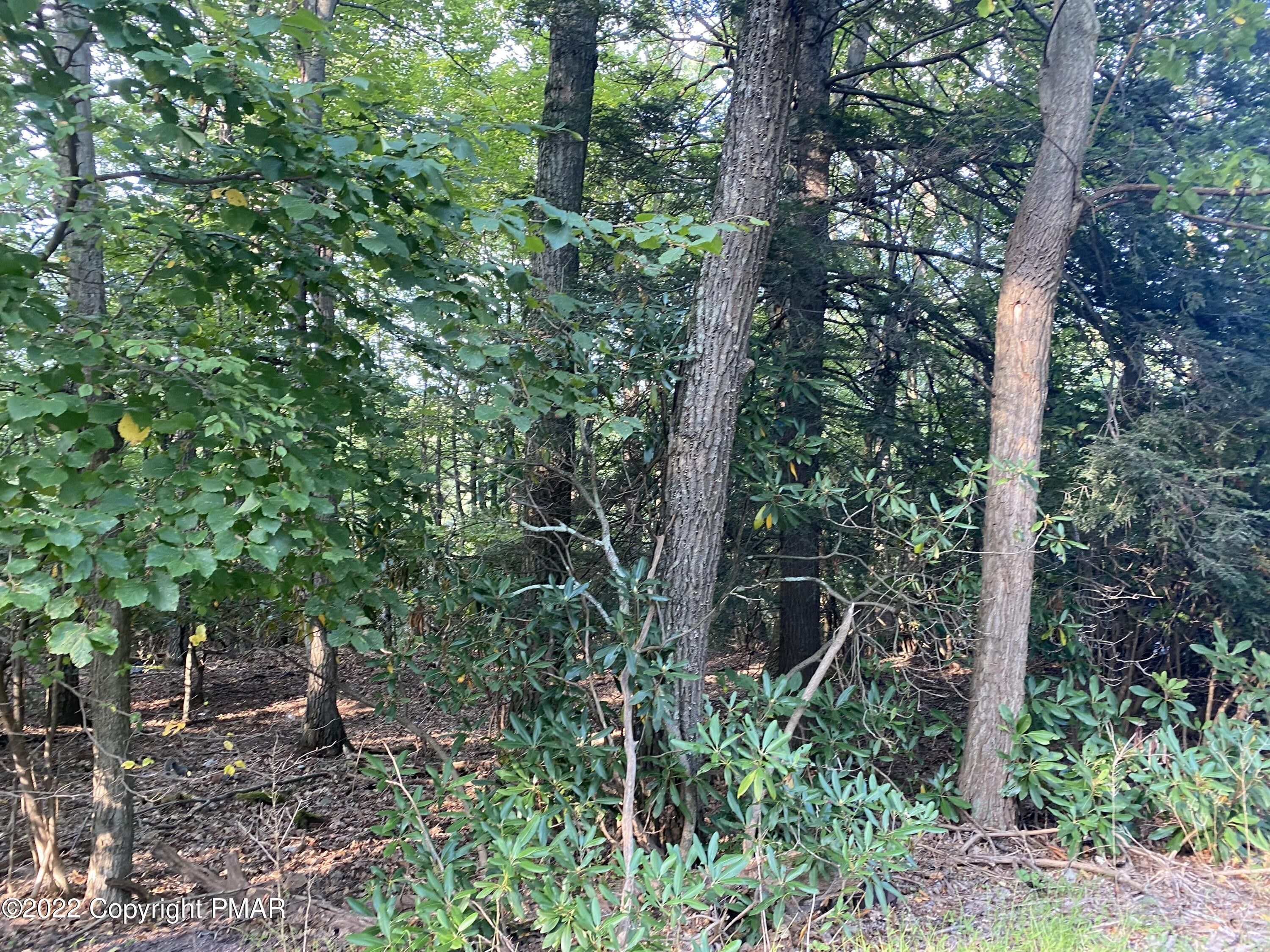 Lot 3 T 561, Cresco, PA 18326 MLS PM101211 LandWatch