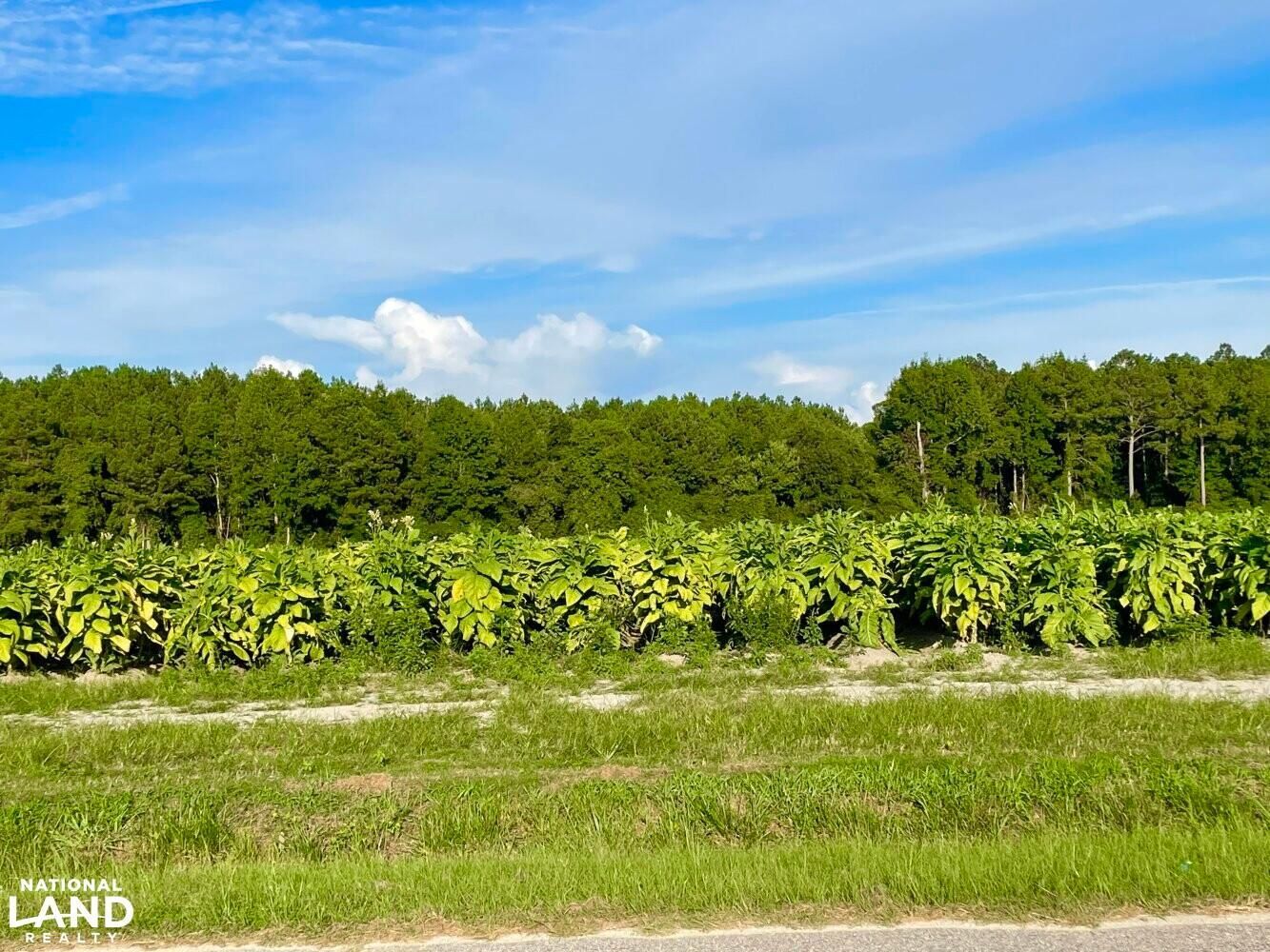 Kenly, Johnston County, NC Farms and Ranches, Timberland Property, Hunting Property for sale