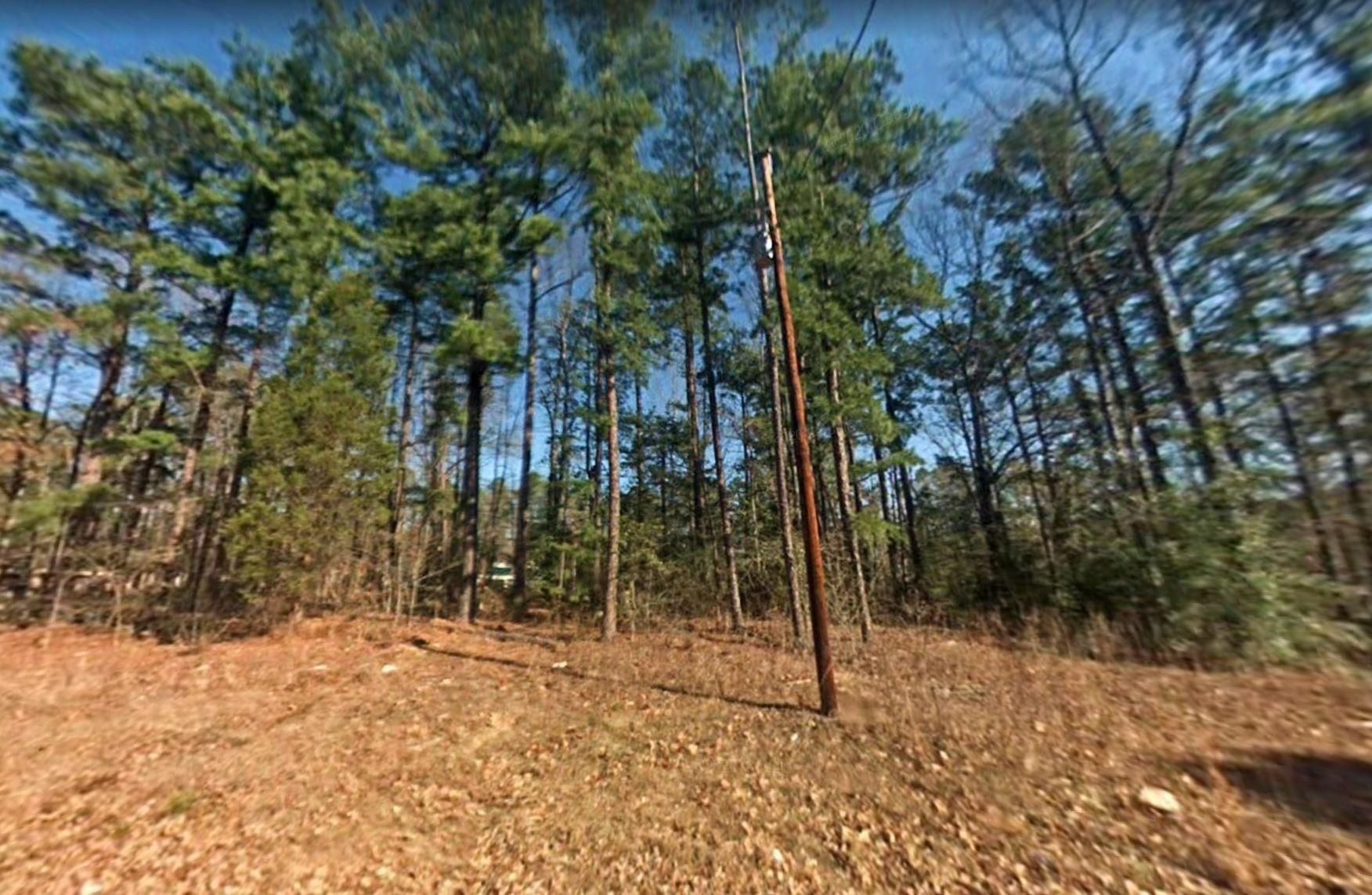 Jefferson, Marion County, TX Recreational Property, Undeveloped Land