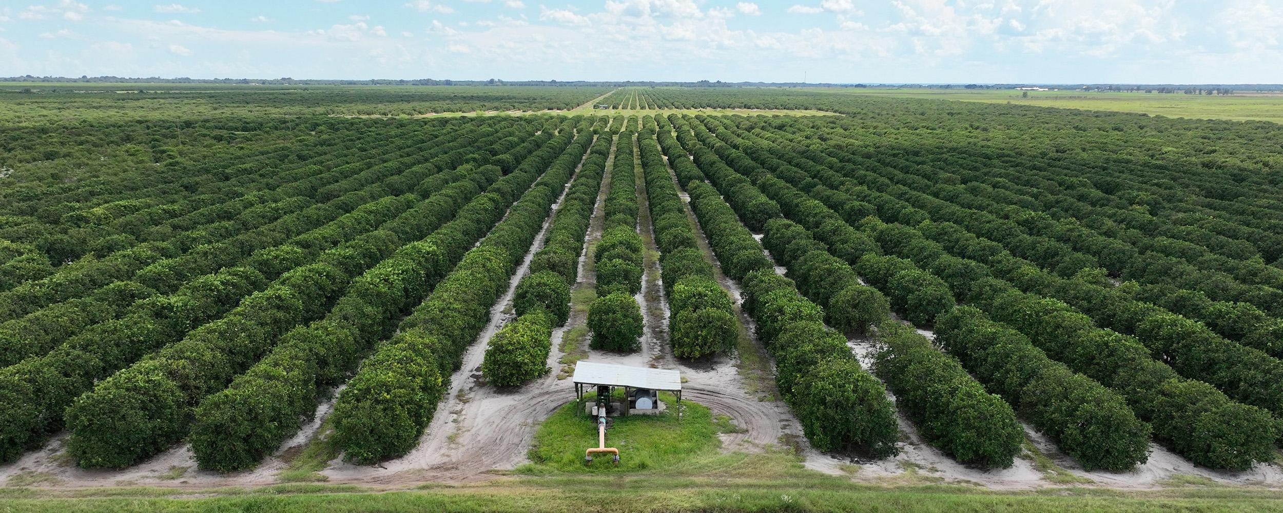 Sebring, Highlands County, FL Farms and Ranches for sale Property ID 414946251 LandWatch