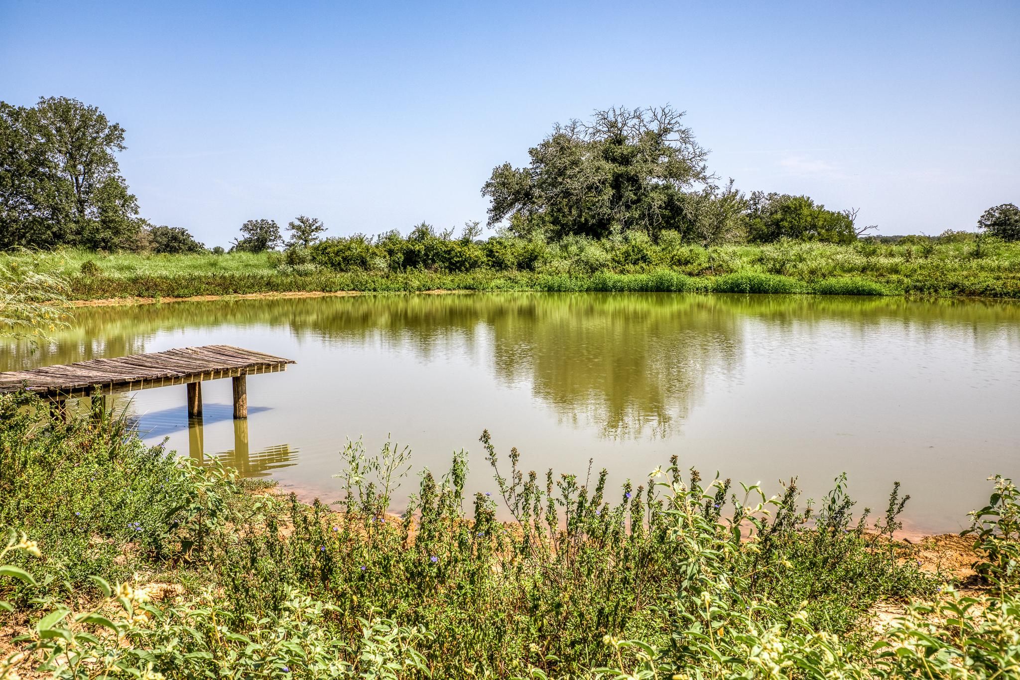 Caldwell, Burleson County, TX Farms and Ranches, Recreational Property