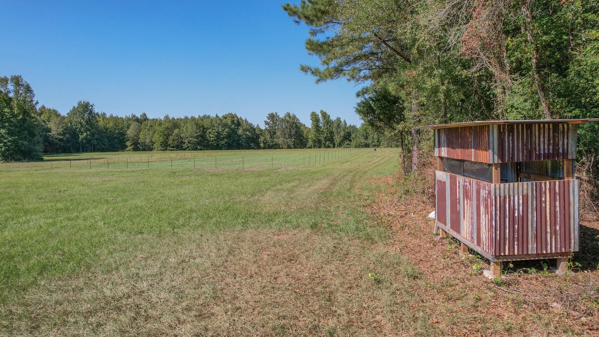 108.98 acres in Linden, TX, 75563 MLS This hunting and recreational