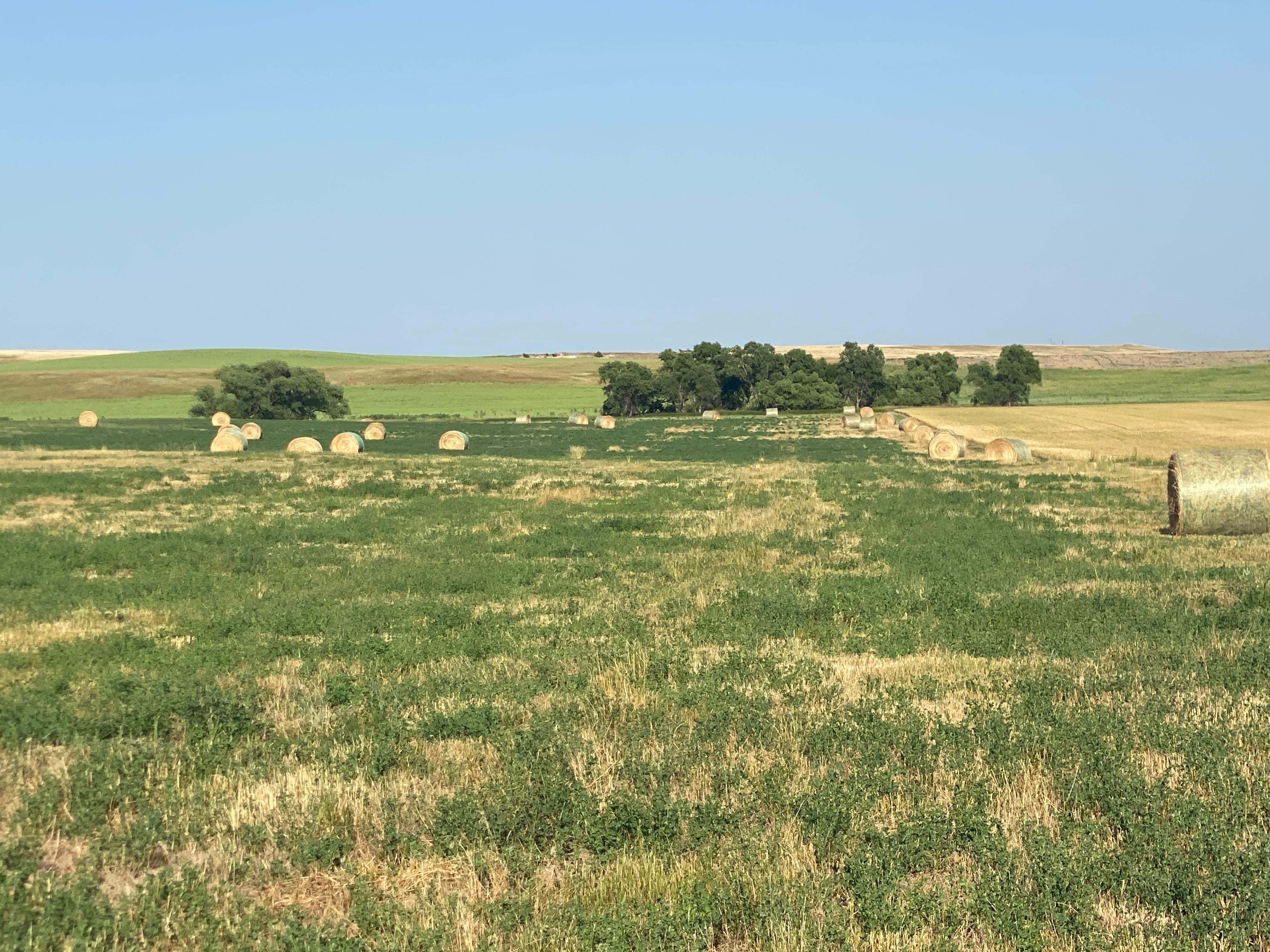 Mott, Hettinger County, ND Farms and Ranches for auction Property ID 414947171 LandWatch