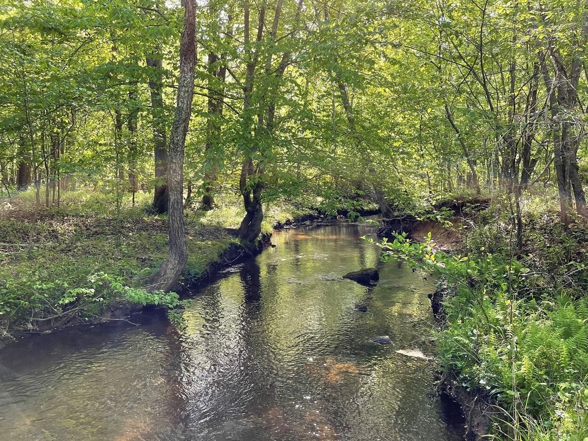 Palmyra, Fluvanna County, VA Recreational Property, Timberland Property