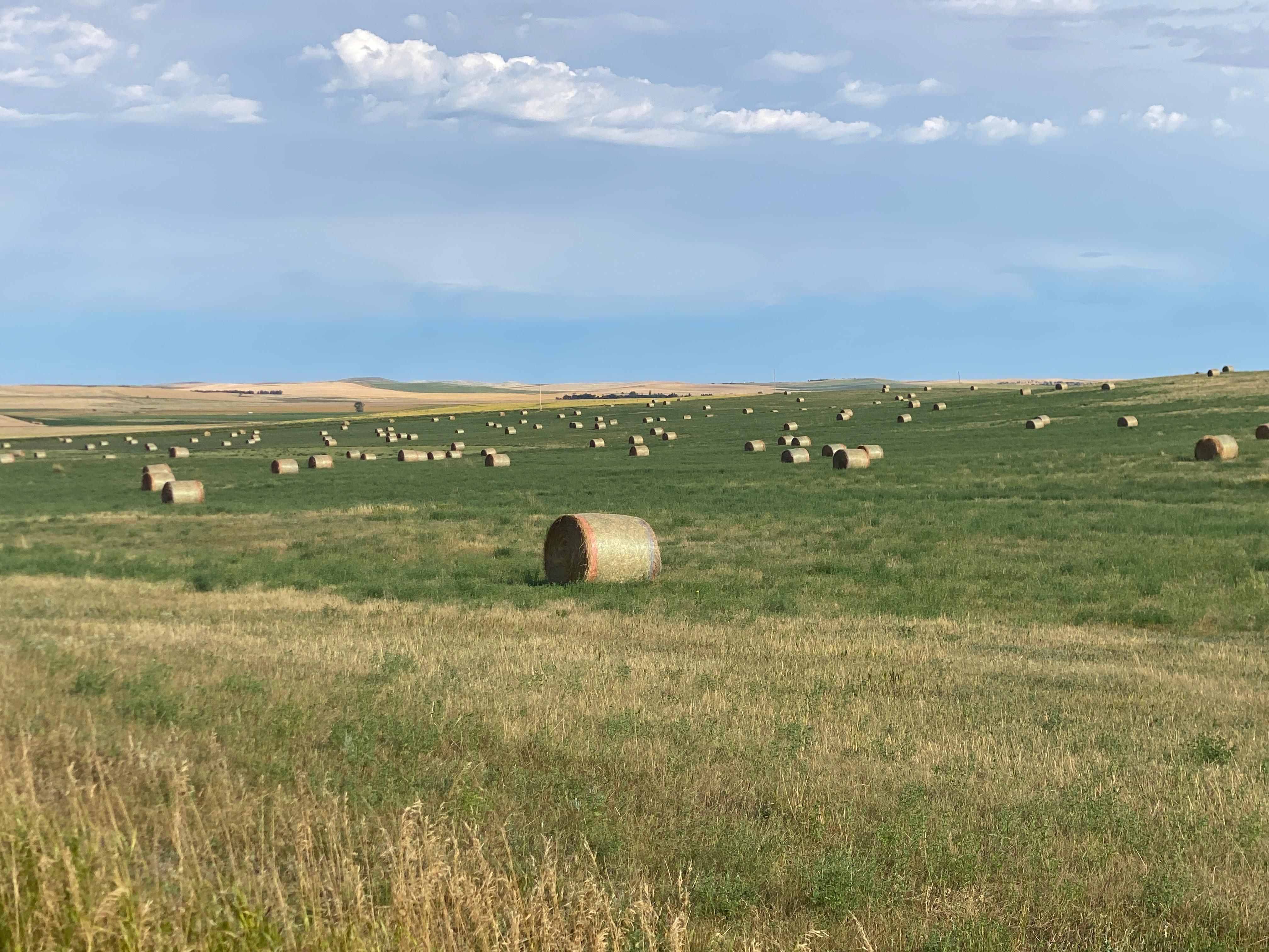 Regent, Hettinger County, ND Commercial Property for auction Property ID 414947462 LandWatch