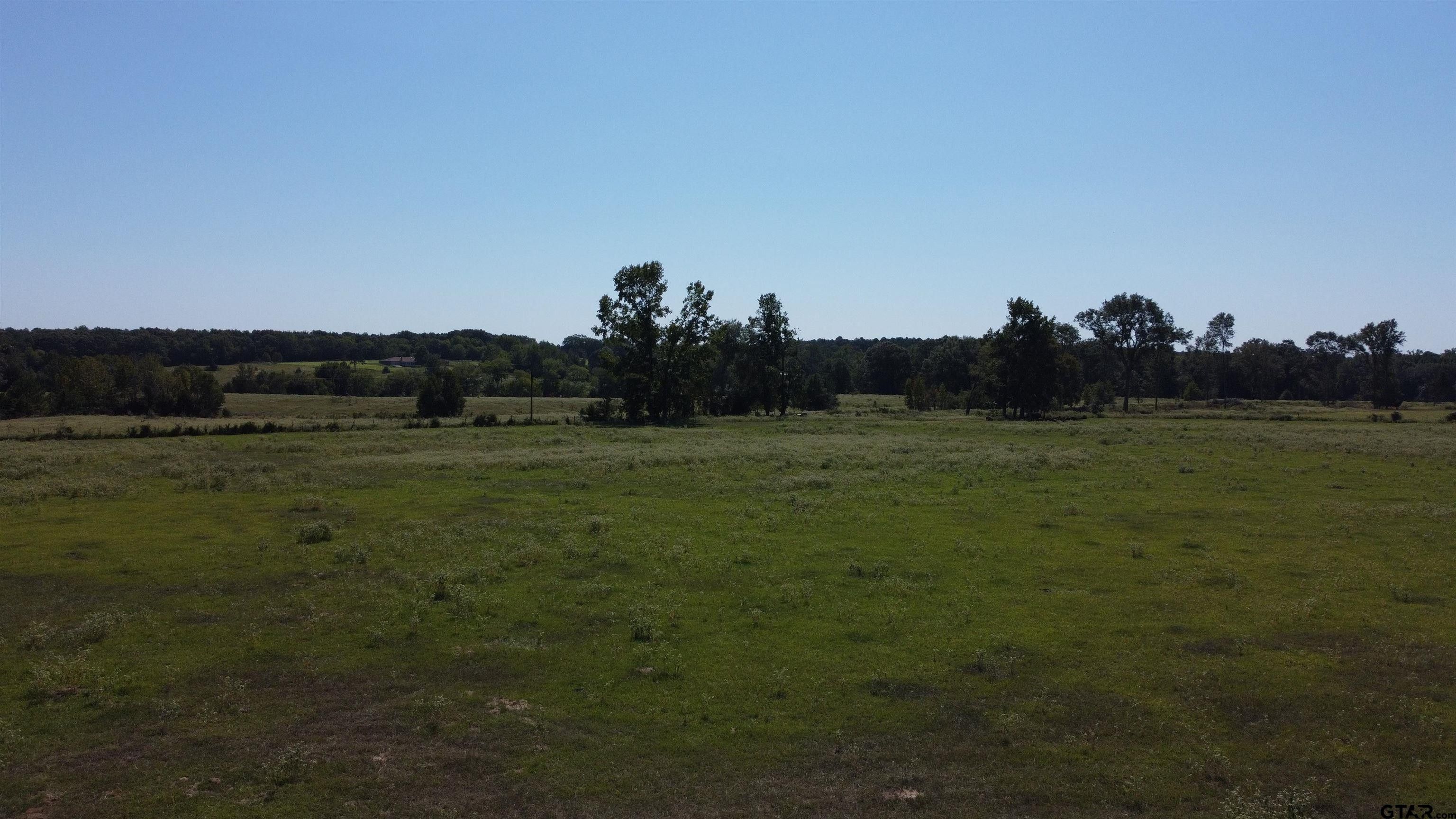 Quitman, Wood County, TX Farms and Ranches for sale Property ID