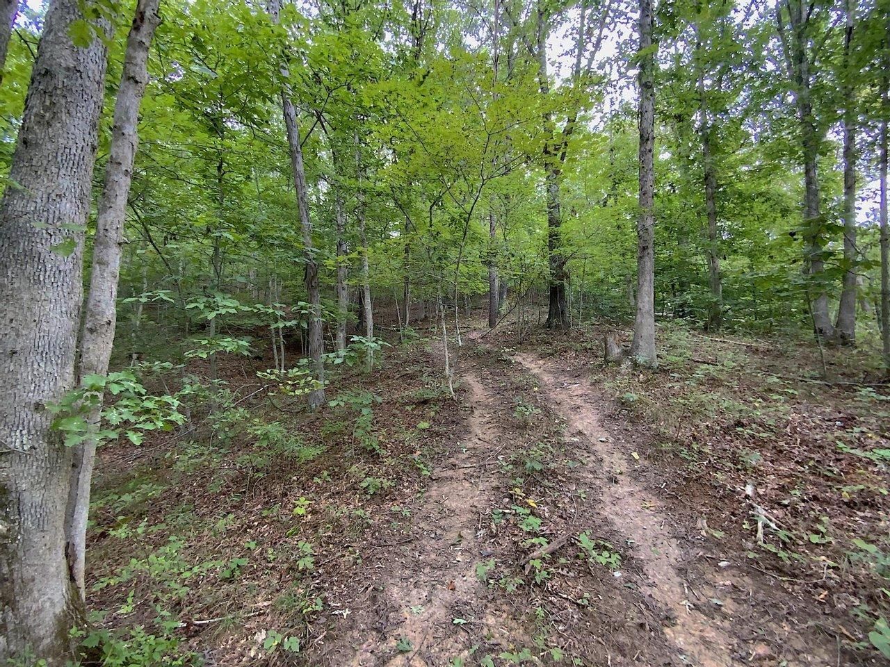 Deloss Creek Rd, Kitts Hill, OH 45645 LandWatch