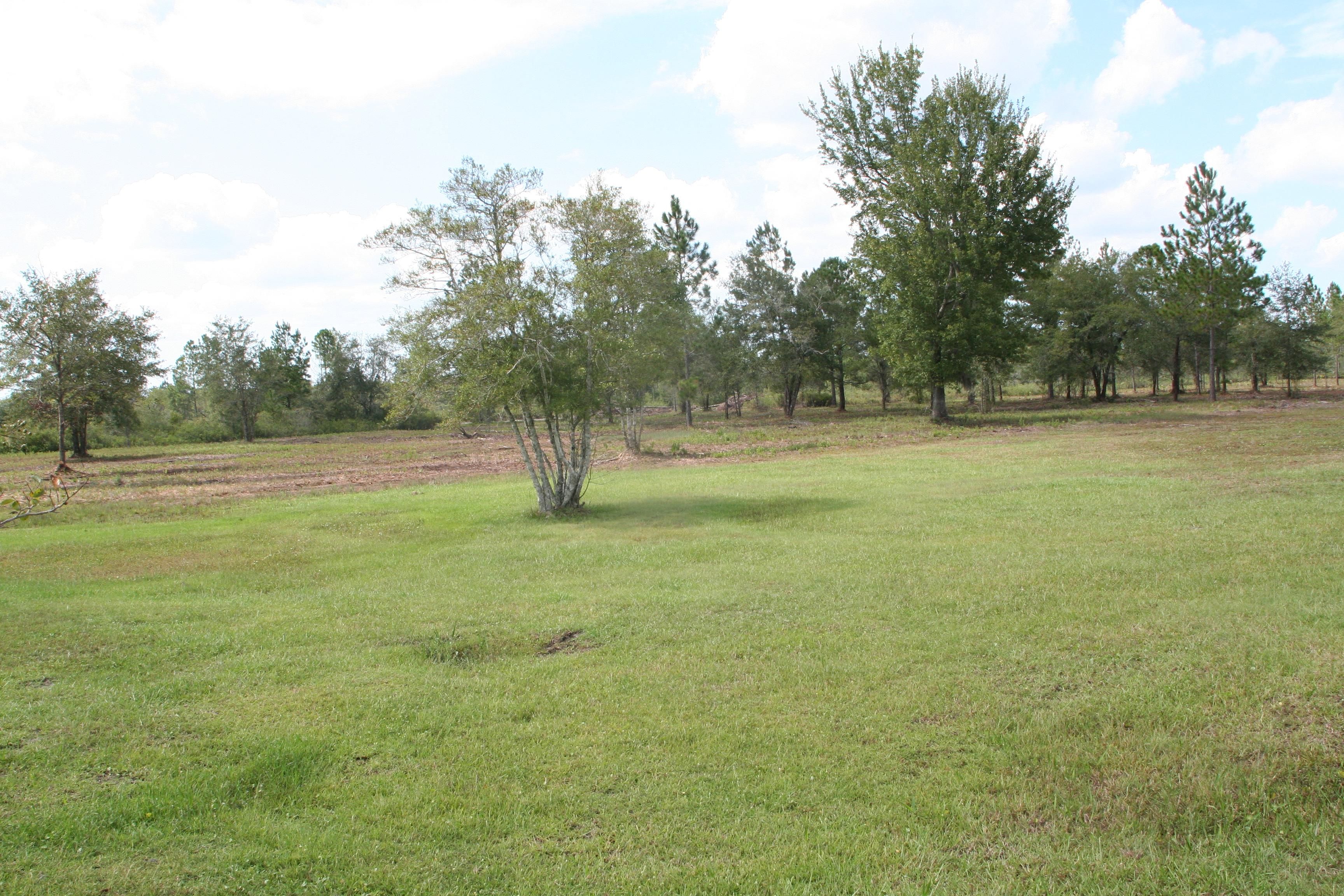 Folsom Rd, Sanderson, FL 32087 MLS 1193898 LandWatch