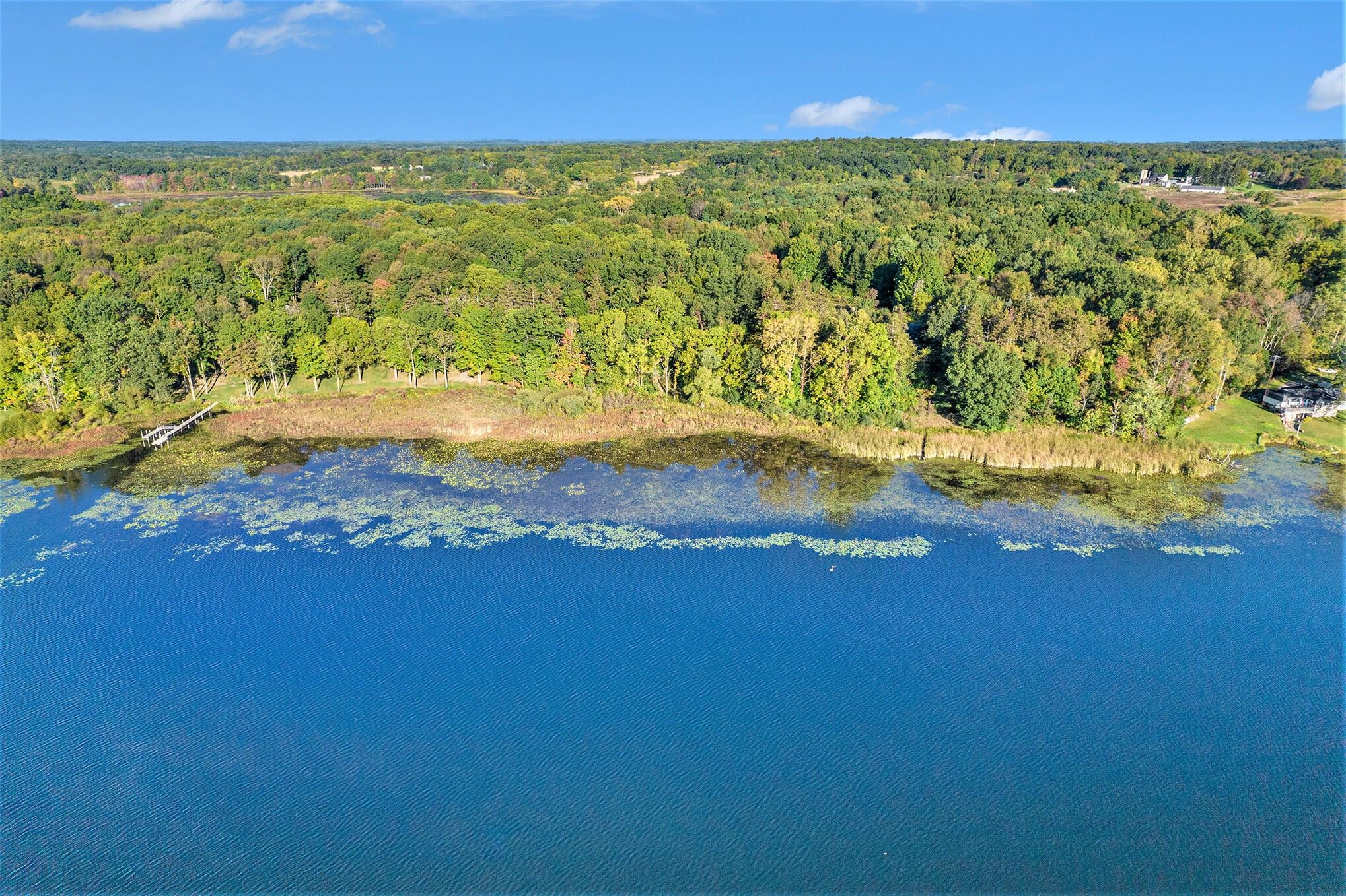 Horton, Jackson County, MI Undeveloped Land, Lakefront Property