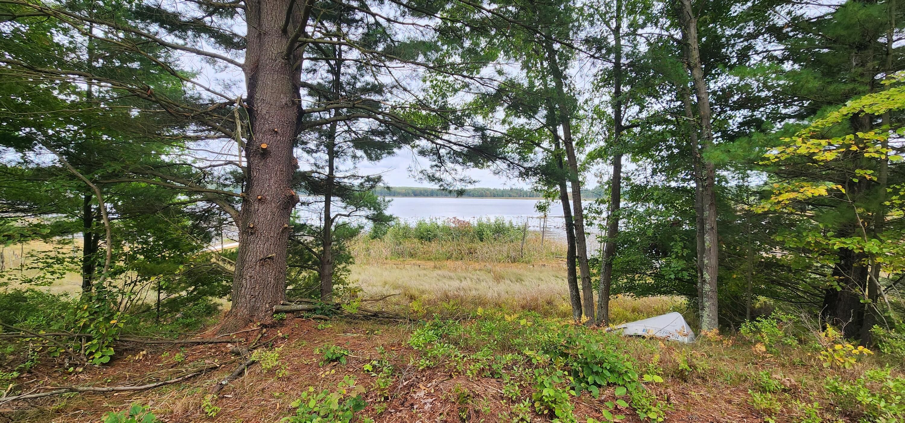 Luther, Lake County, MI Undeveloped Land, Lakefront Property