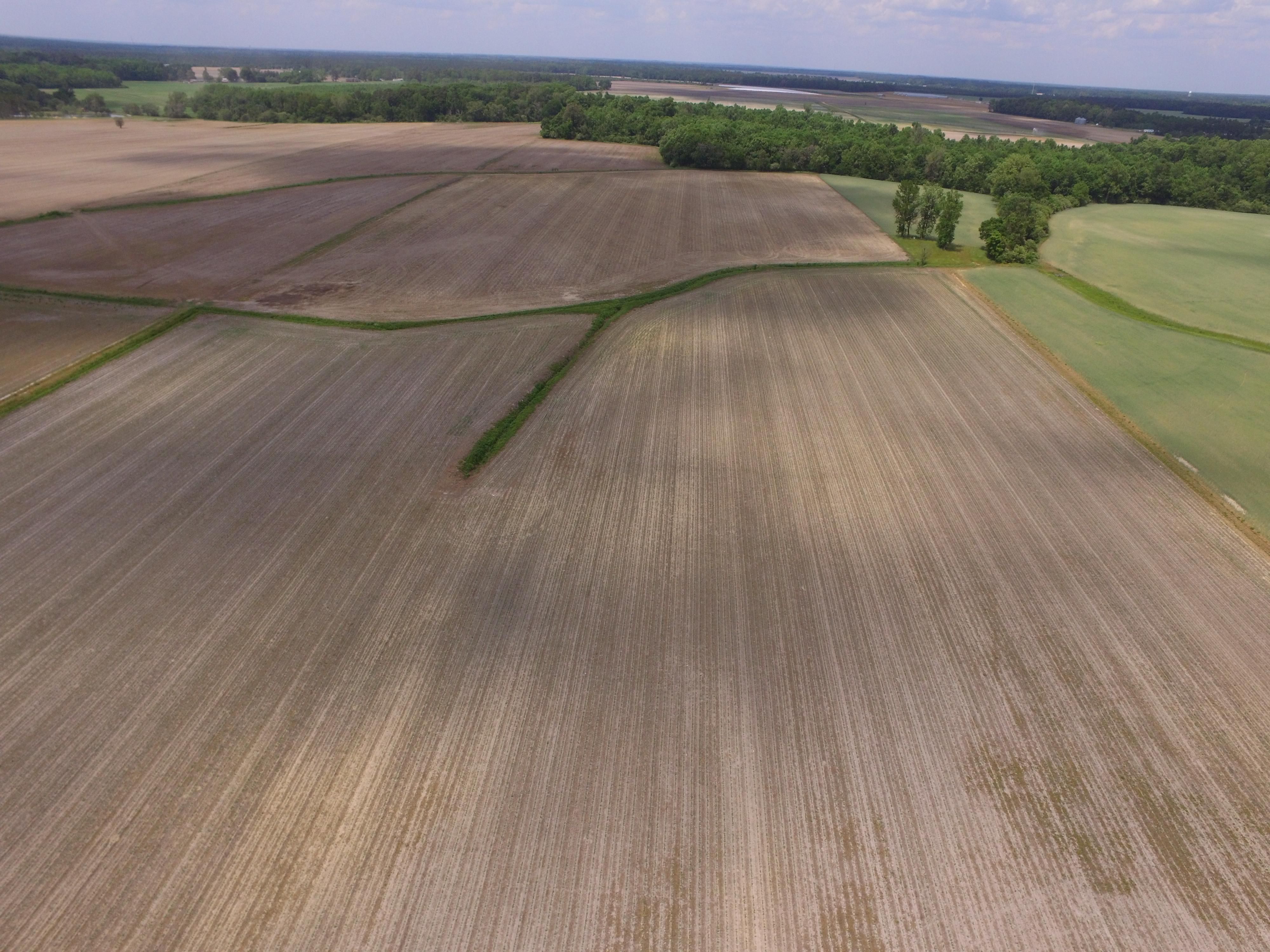 Trenton, Jones County, NC Farms and Ranches, Timberland Property