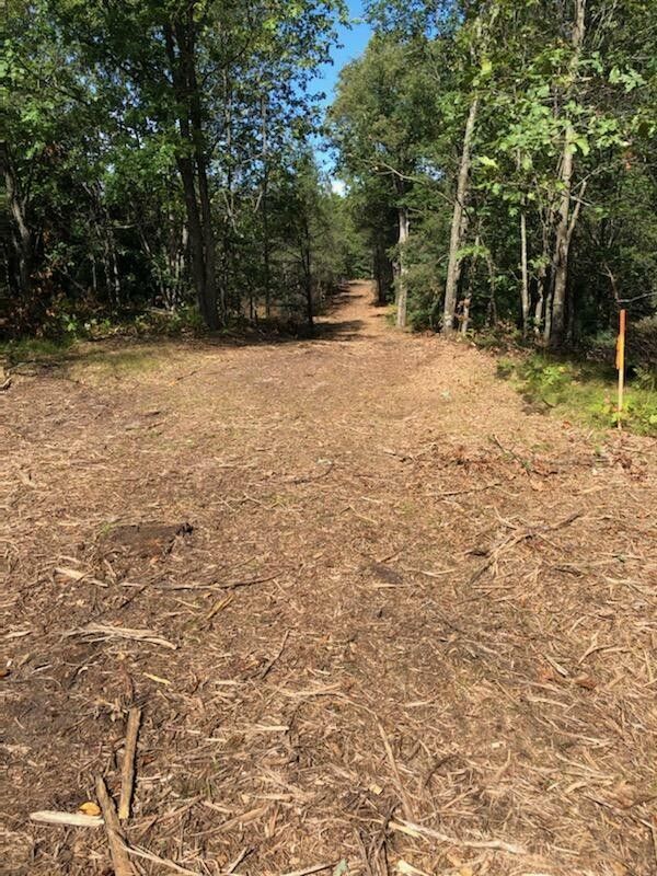 Twin Lake, Muskegon County, MI Undeveloped Land, Homesites for sale