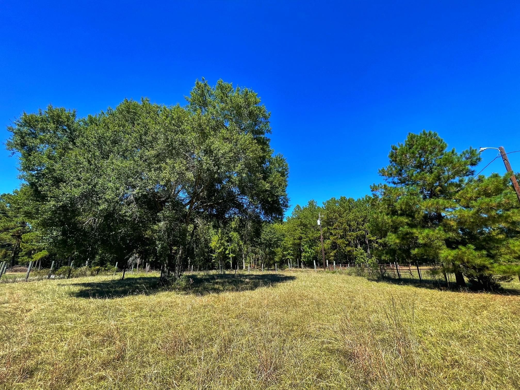 Centerville, Leon County, TX Recreational Property, House for sale