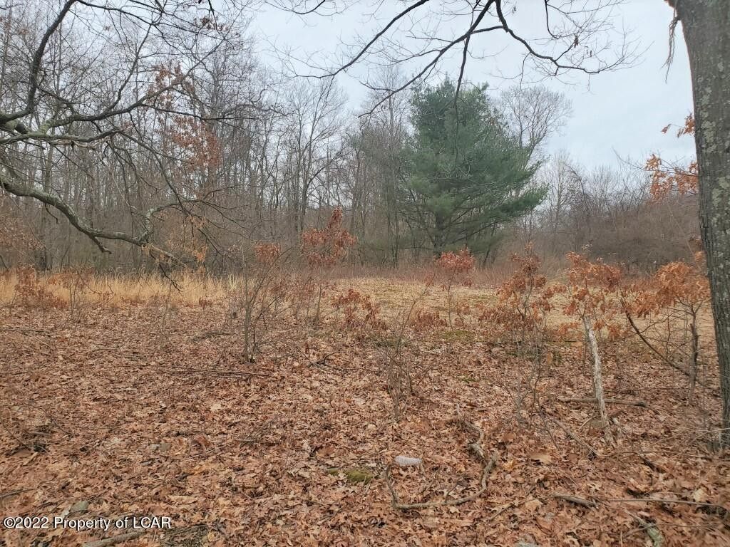 Lehman, Luzerne County, PA Undeveloped Land for sale Property ID