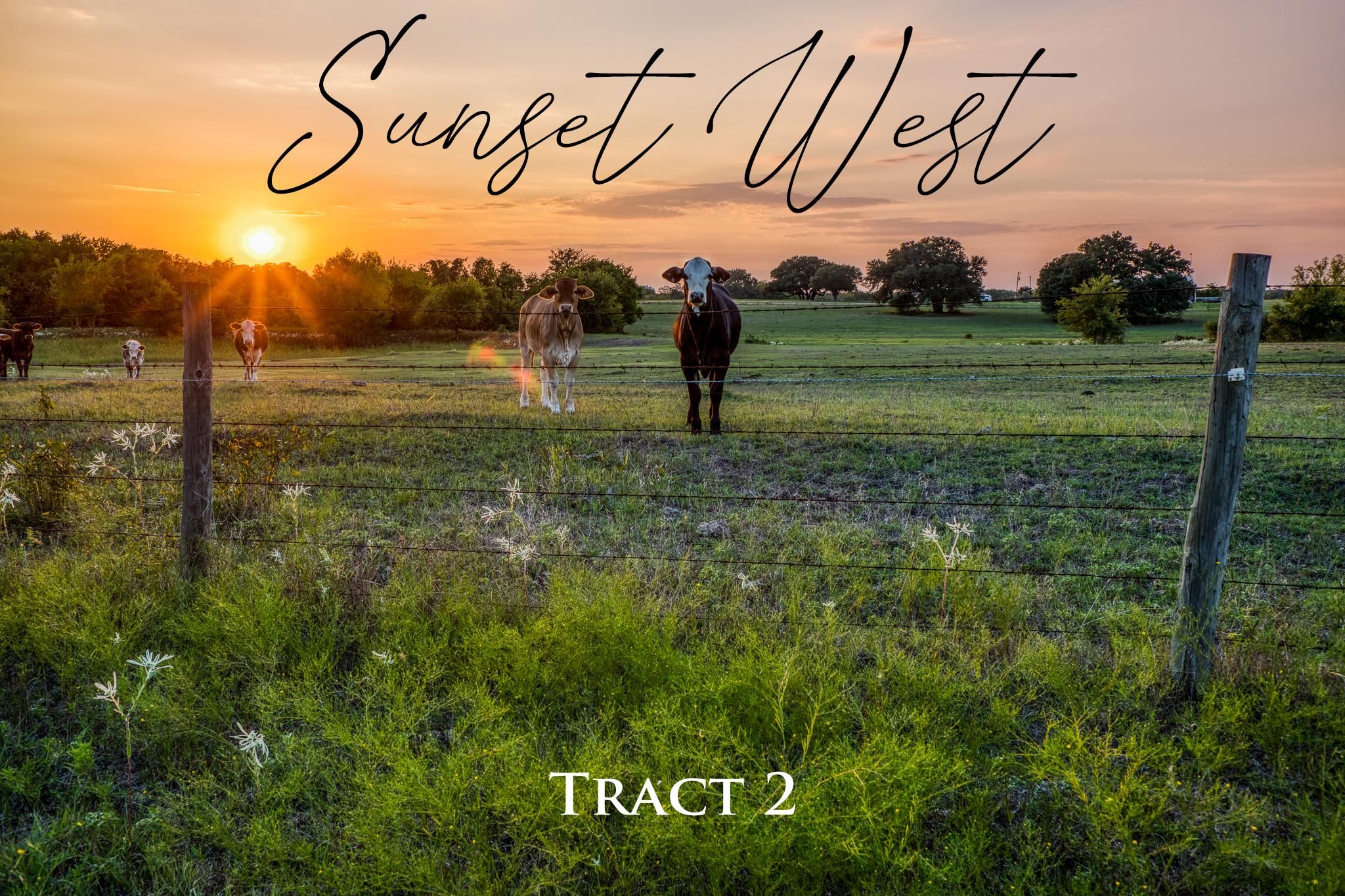 Brenham, Washington County, TX Recreational Property, Undeveloped Land