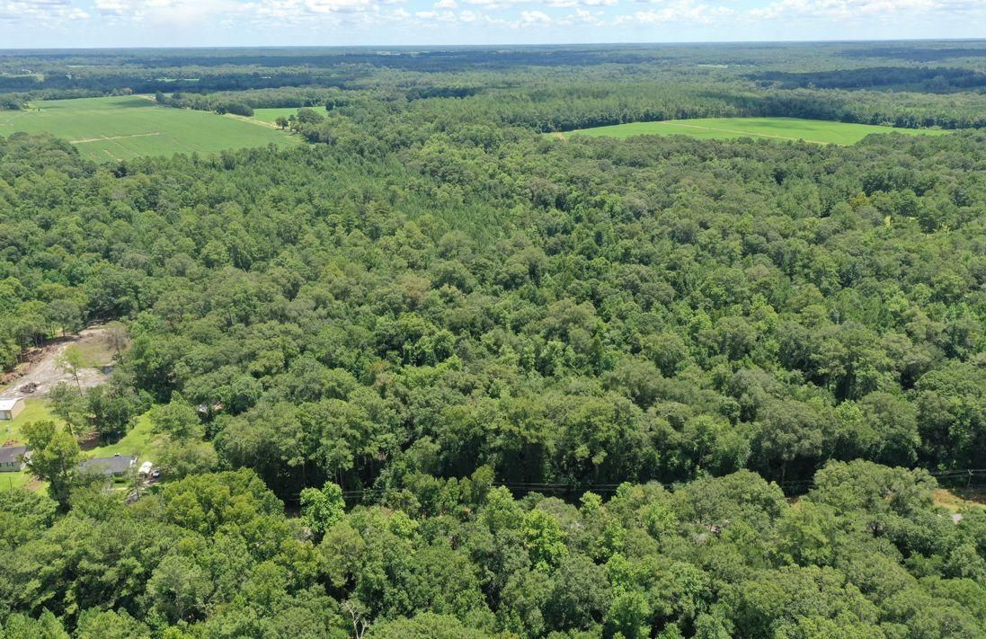 6880 Hall Road, Coolidge, GA 31738 MLS 920293 LandWatch